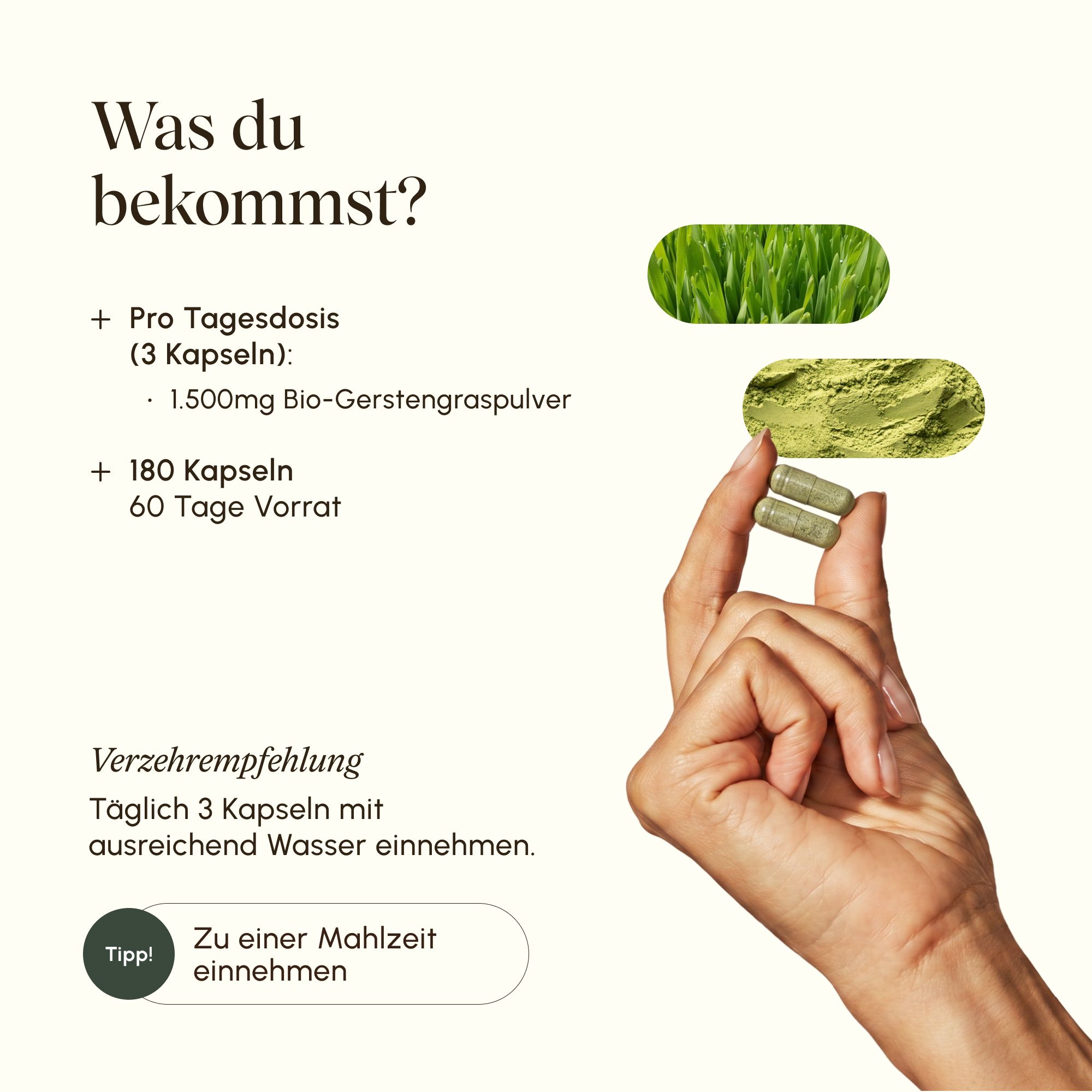 VETAIN Bio Gerstengras Kapseln: Hand hält zwei Kapseln, daneben Pulver und Grashalm.