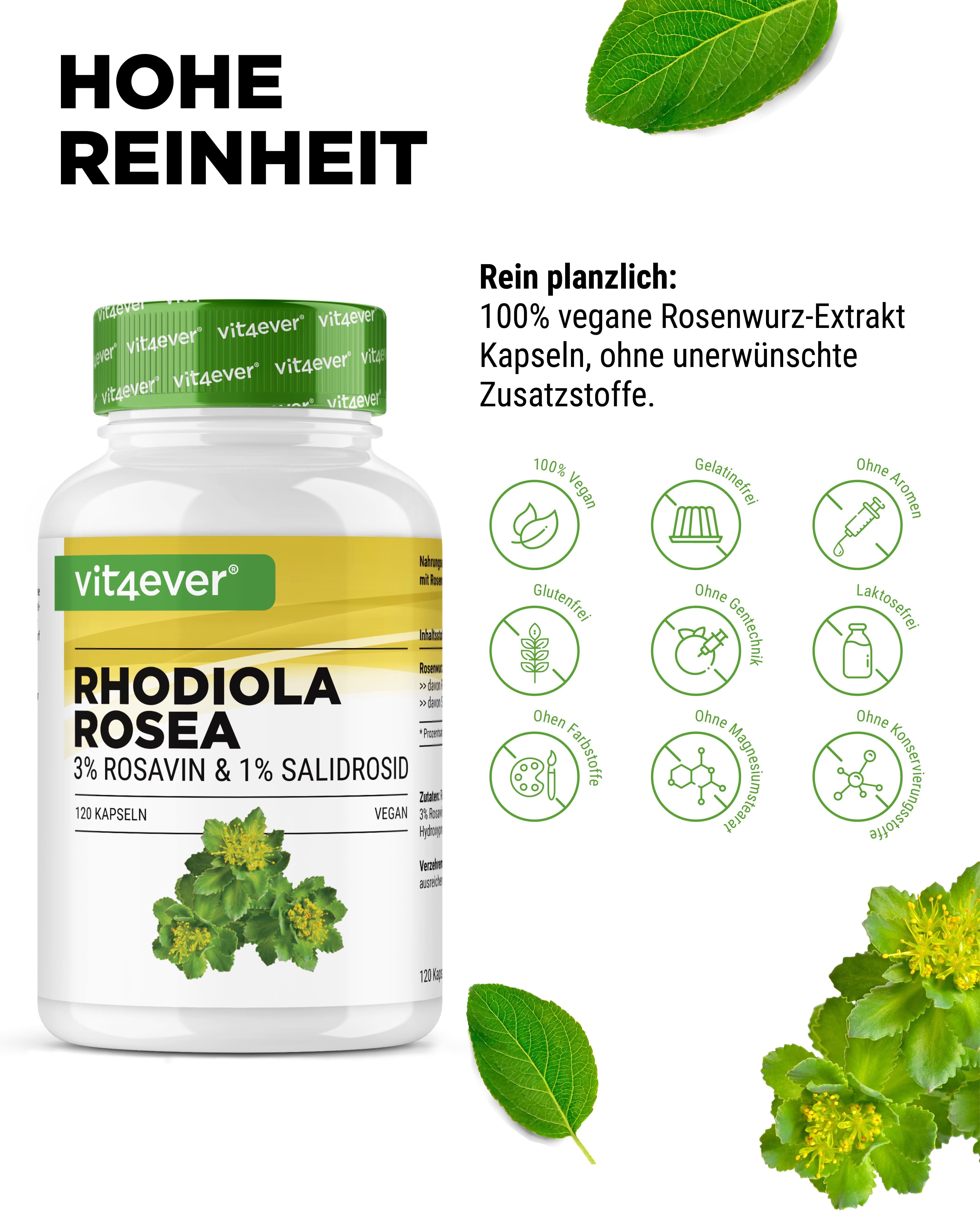 vit4ever Rhodiola Rosa (Rosenwurz-Extrakt)