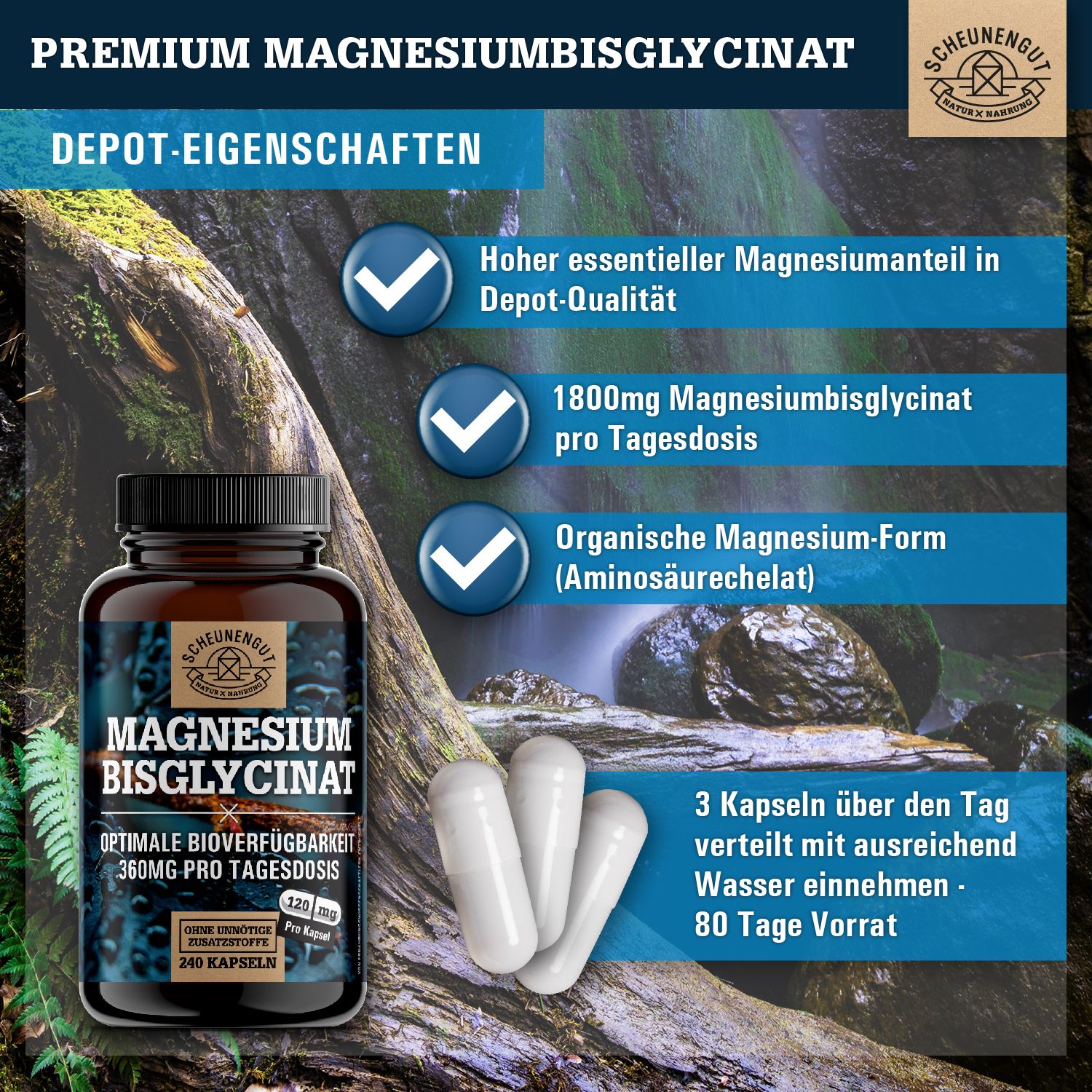 Braune Flasche mit Kapseln. Aufschrift: Magnesiumbisglycinat, 360mg pro Tagesdosis. 3 Kapseln. Marke: Scheunengut.