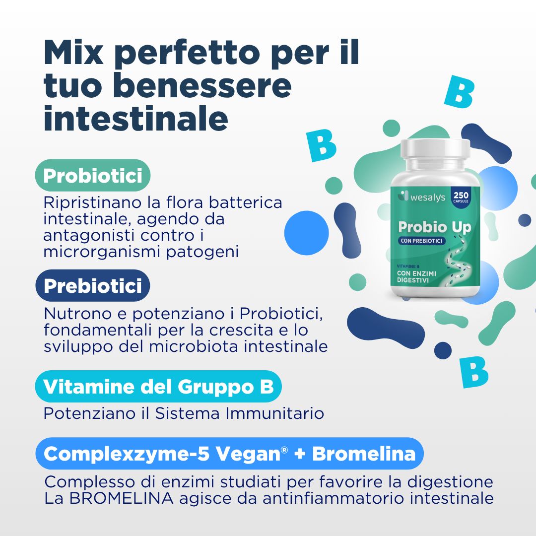Grafik: Perfekte Mischung für Darmgesundheit. Probiotika, Präbiotika, B-Vitamine, Complexzyme-5.