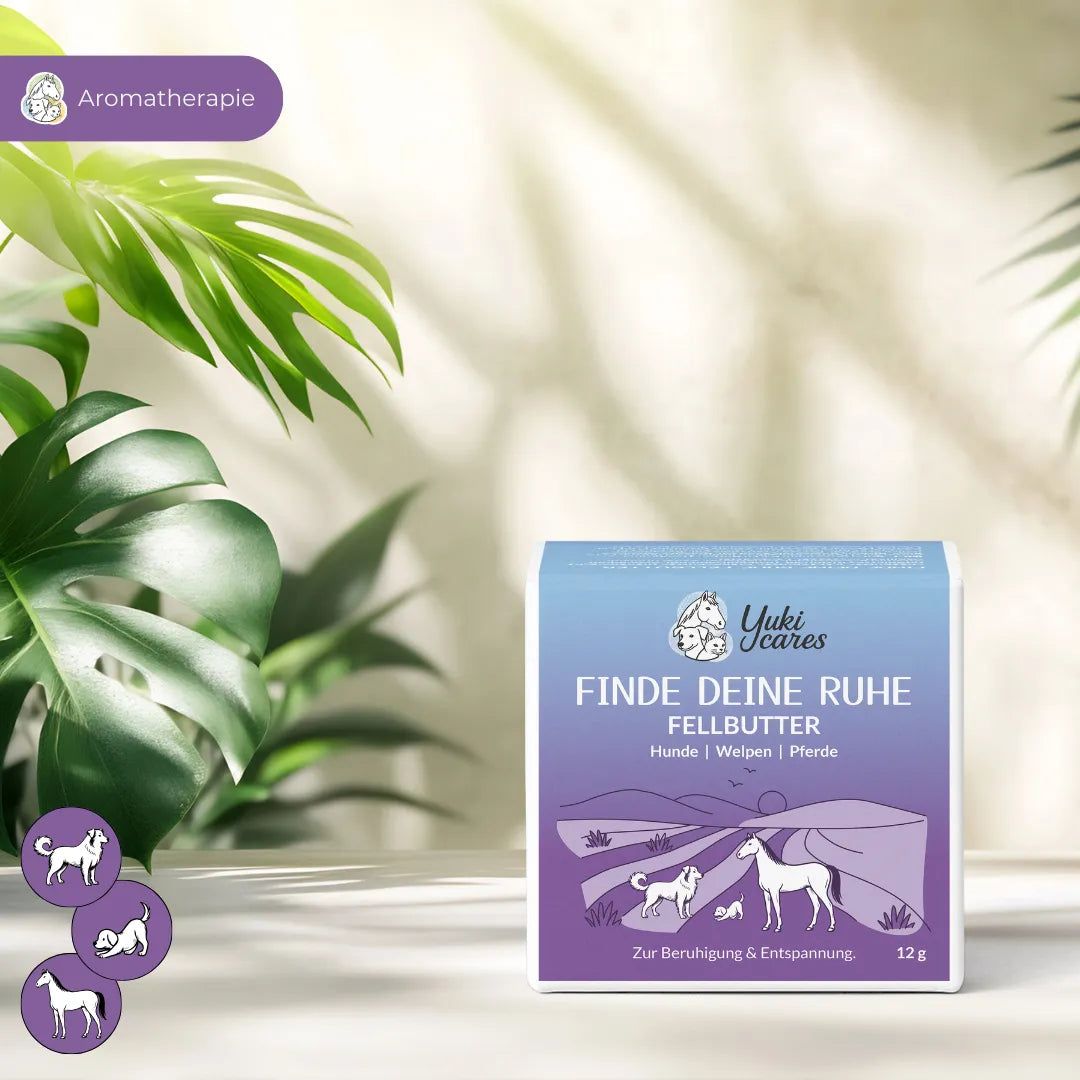 Quadratische Verpackung mit Produktnamen und Logo. Text: Finde deine Ruhe Fellbutter. Illustrationen von Hund, Welpe und Pferd. 12g.