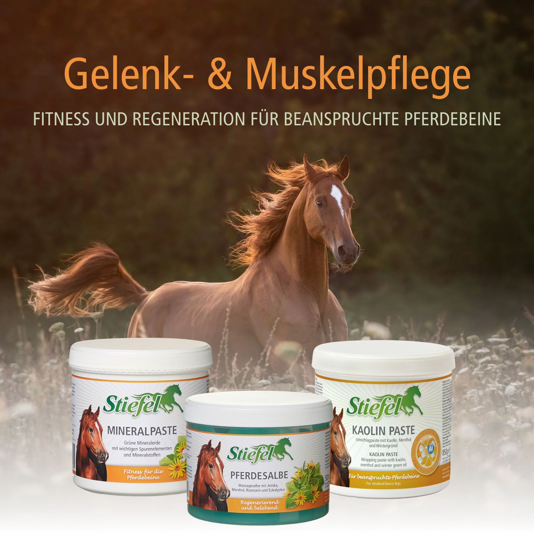 Drei Tiegel Stiefel-Produkte. Pferde-Salbe, Mineralpaste und Kaolin Paste. Pferde-Abbildung und Produktnamen.