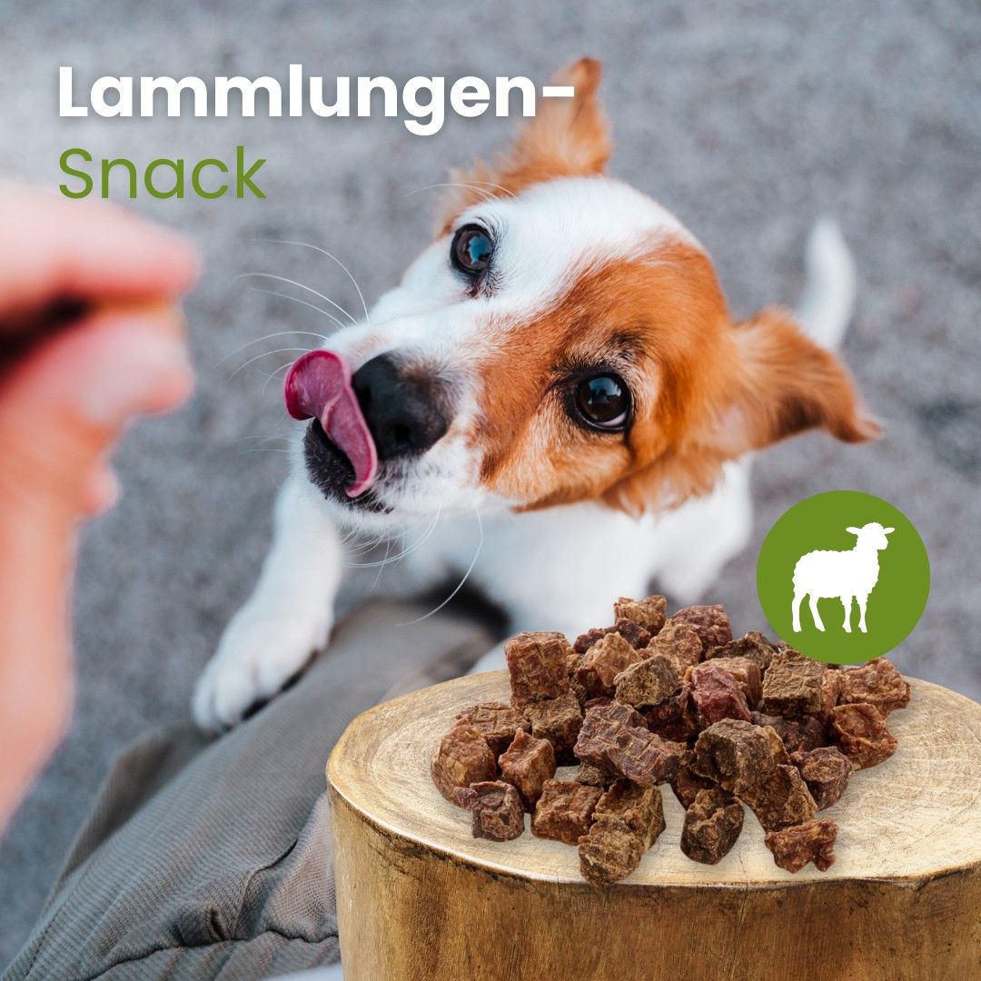Getrocknete Lungenwürfel vom Lamm, 2-3 cm groß.