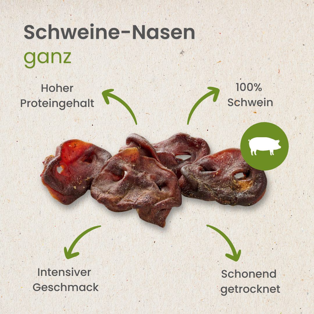 Vier getrocknete Schweinenasen als Hundekauartikel, mit Beschriftungen zu Länge, Gewicht, Geruch, Fettgehalt und Beschaffenheit.