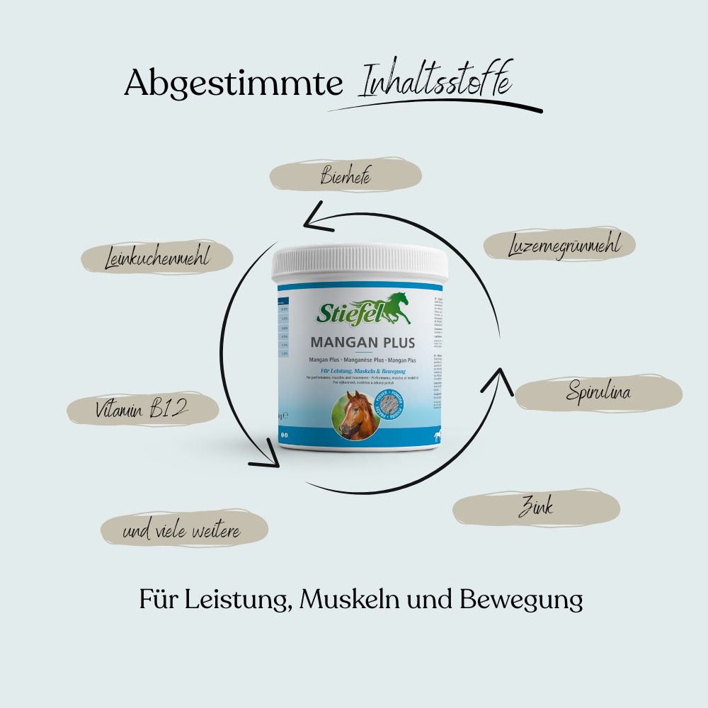 Weißes Produktglas mit blauem Etikett. Text: Stiefel Mangan Plus. Umgeben von Pfeilen mit Inhaltsstoffen: Spirulina, Zink, etc.