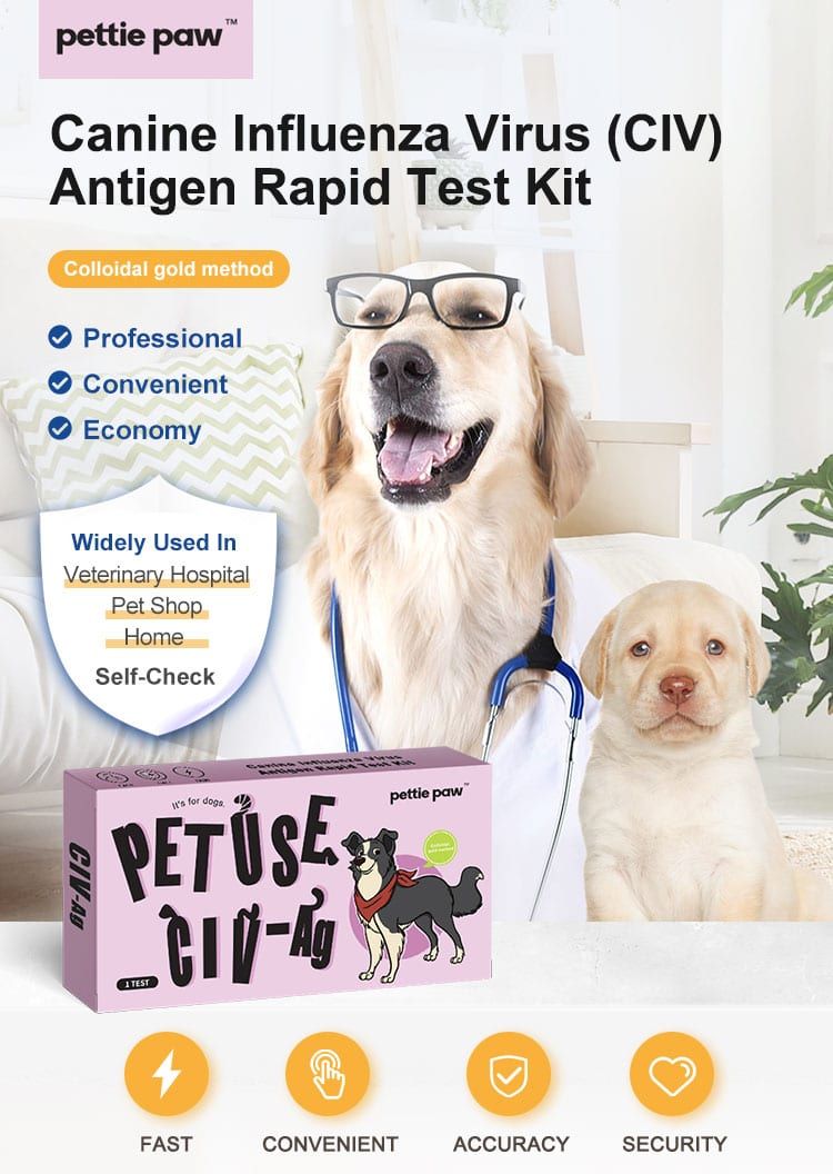 Werbebild für einen Hundegrippe-Antigen-Schnelltest mit Hunden und Produktverpackung.