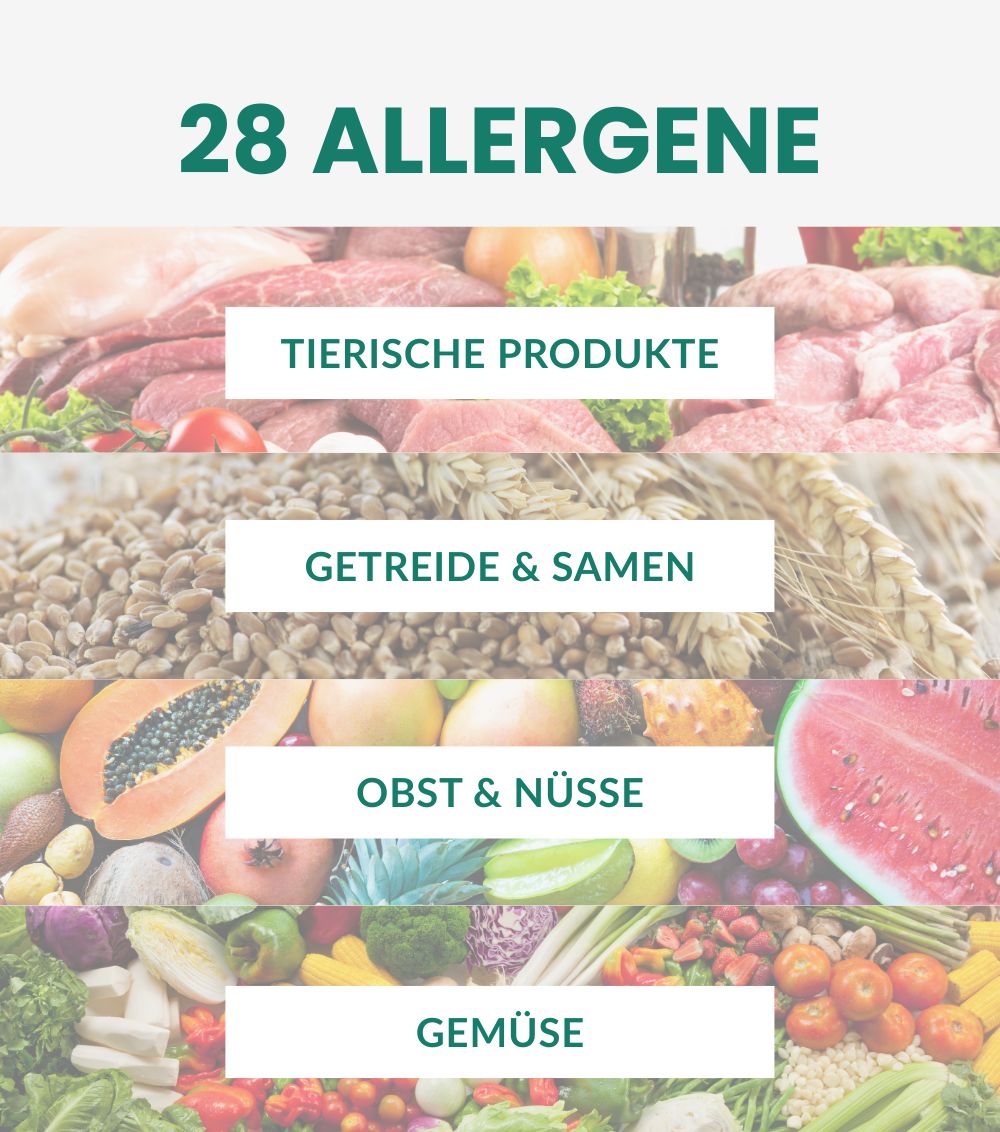 Infografik mit Kategorien. Text: 28 Allergene. Kategorien: Tierische Produkte, Getreide & Samen, Obst & Nüsse, Gemüse.