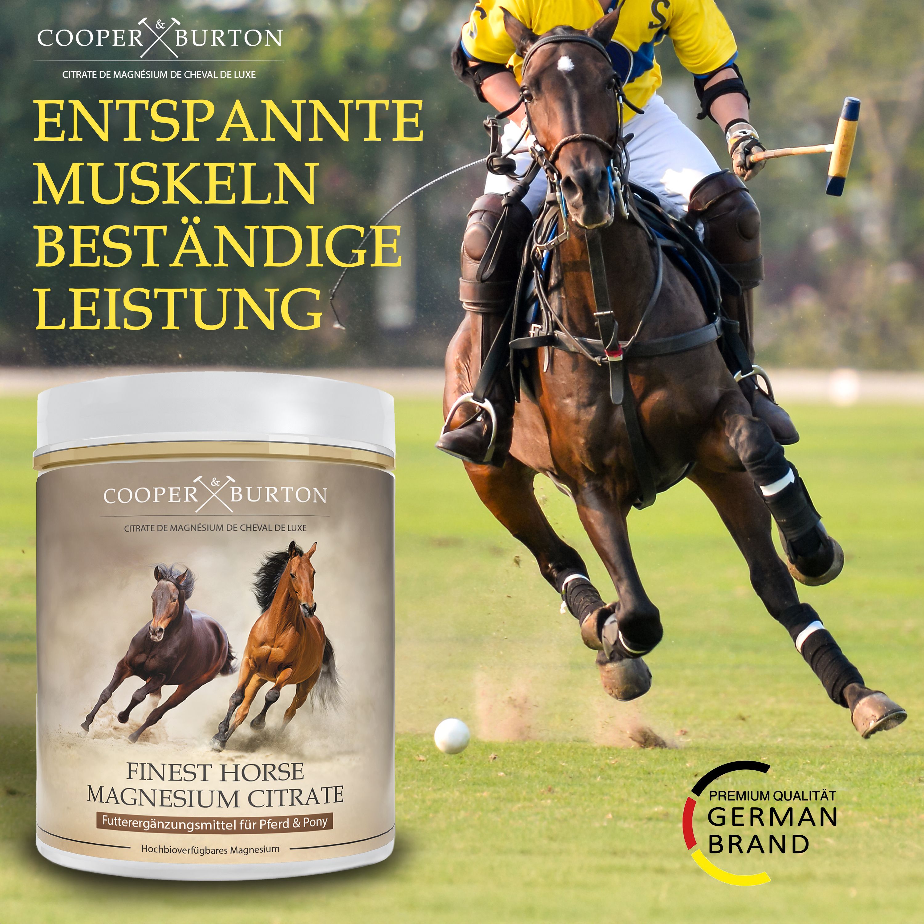 Produkt-Dose mit Pferd. Text: Entspannte Muskeln, beständige Leistung. Logo COOPER & BURTON. Premium Qualität. German Brand.