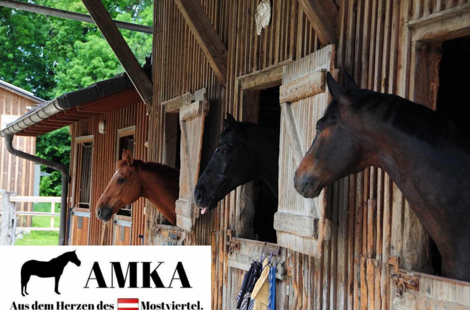 Drei Pferdeköpfe in Stallfenstern. AMKA Logo. Text: Aus dem Herzen des Mostviertels.