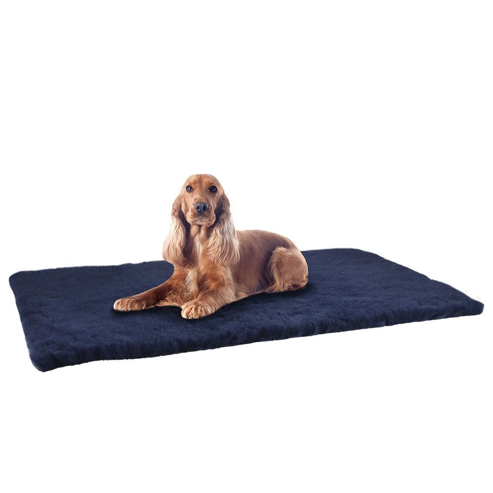 Schecker Hundedecke - DRYPLACE Gesundheitsdecke - von Medizinern entwickelt