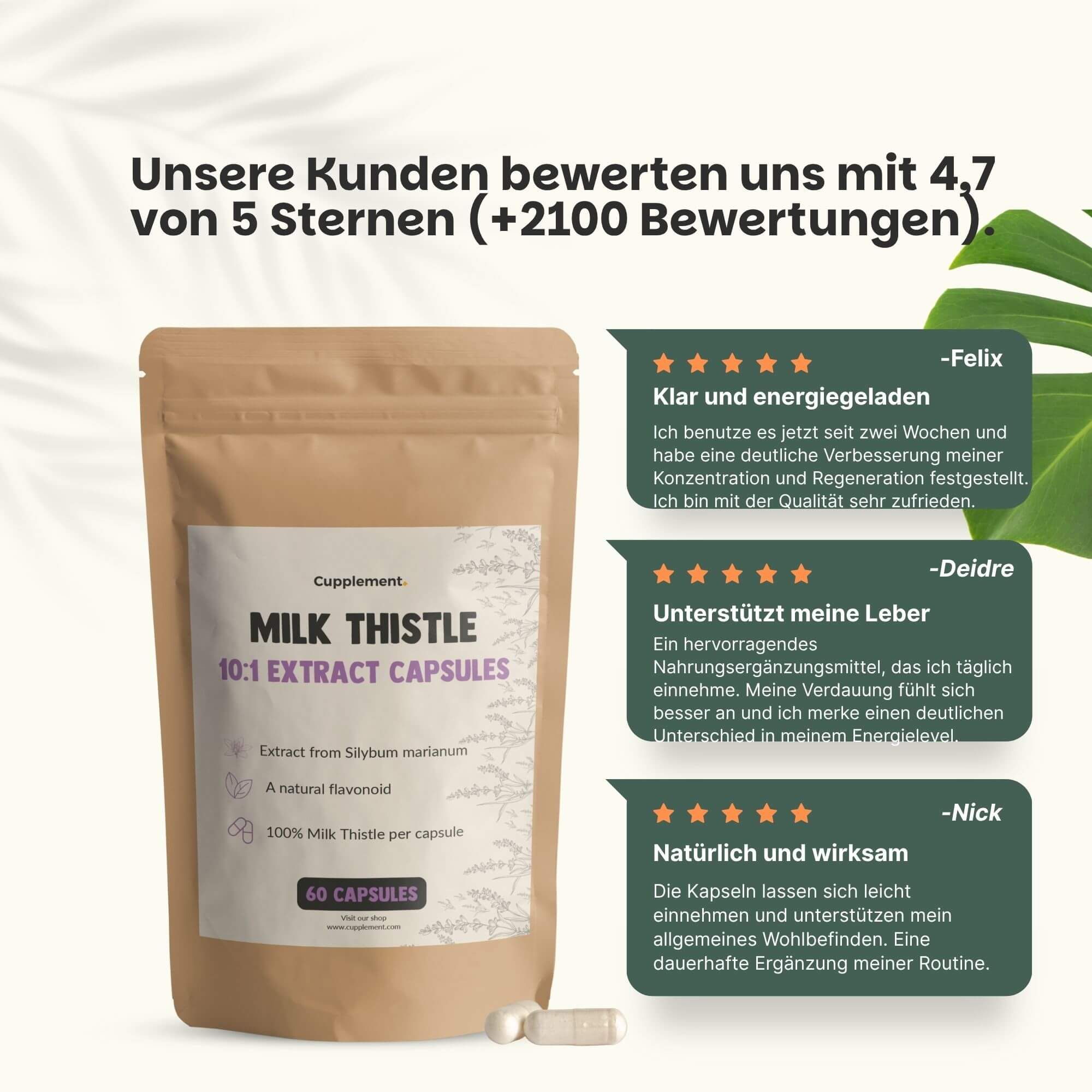 Braune Tüte mit Text: Milk Thistle 10:1 Extract Capsules. 60 Kapseln. Kundenbewertungen: 4,7 von 5 Sternen.