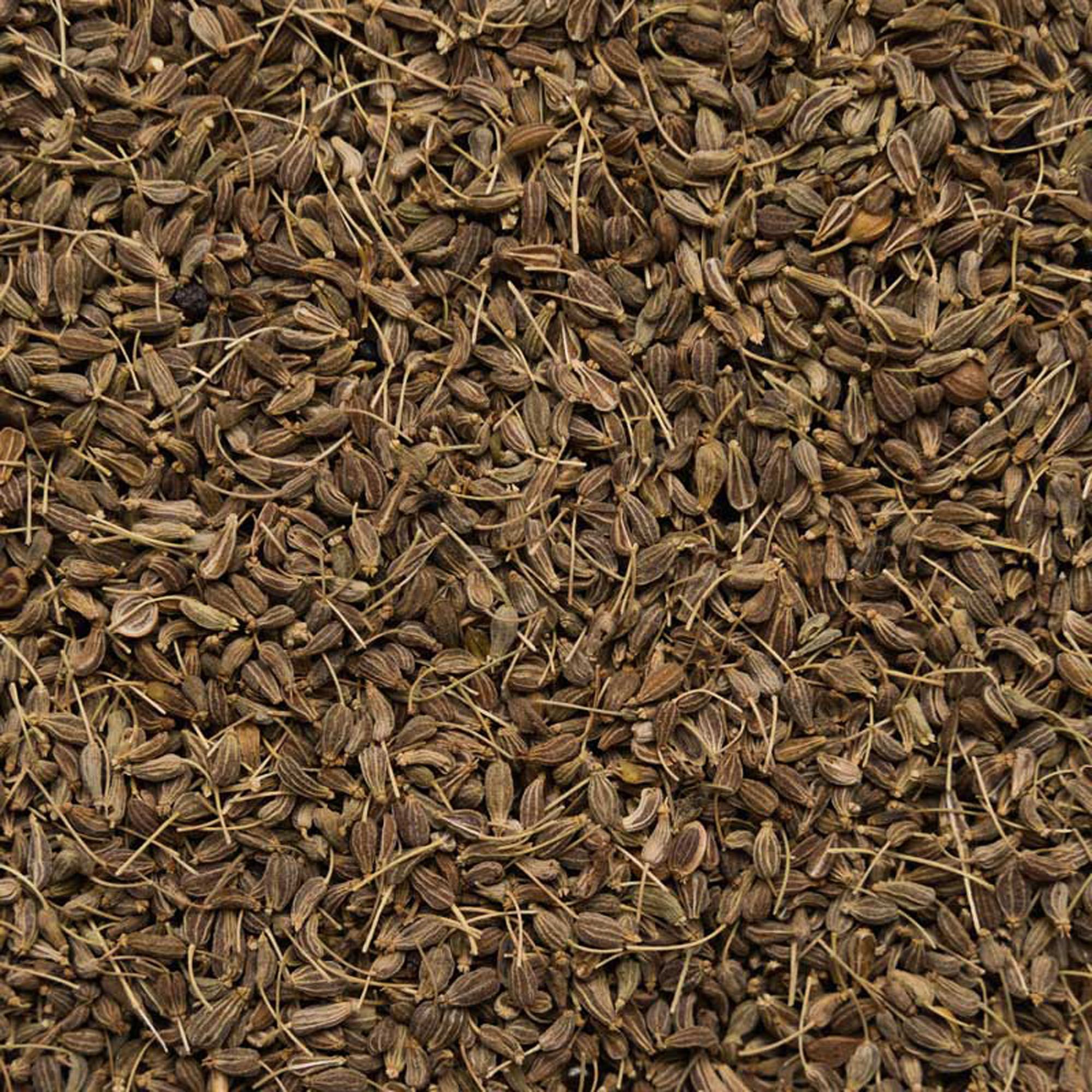 Biotiva Anis ganz Bio