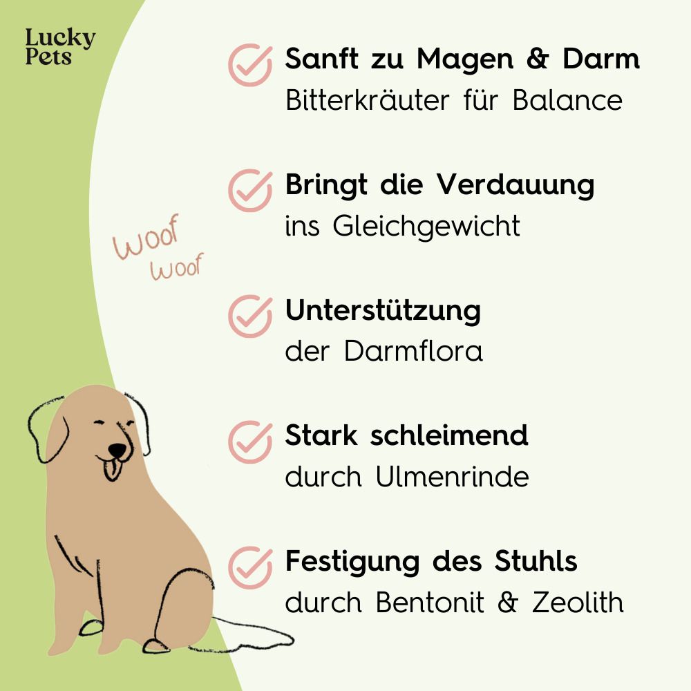 Illustration eines Hundes mit Text. Stichworte: Sanft zu Magen & Darm, Verdauung, Darmflora, Ulmenrinde, Bentonit & Zeolith.