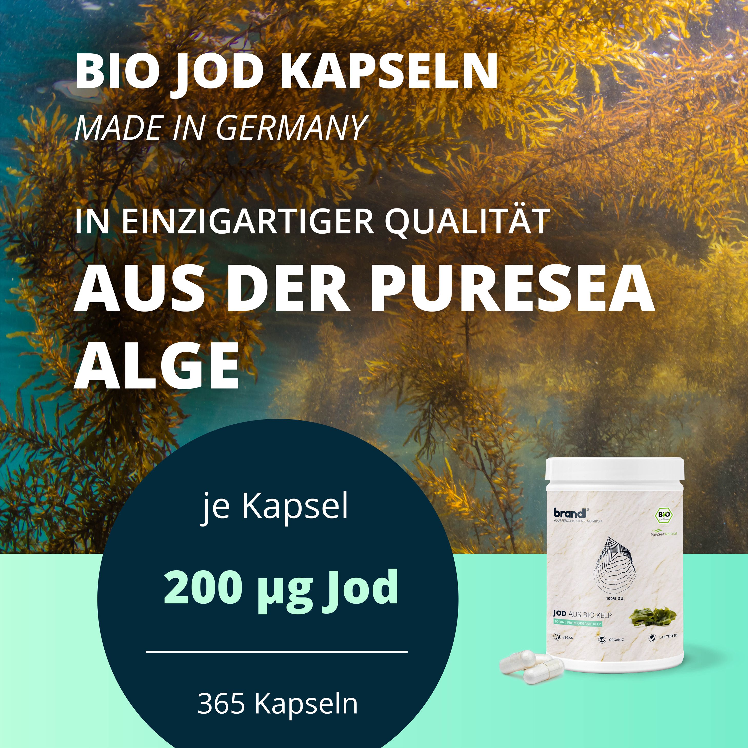 brandl® Jod aus Bio Kelp Algen von PureSea® 730 St Kapseln