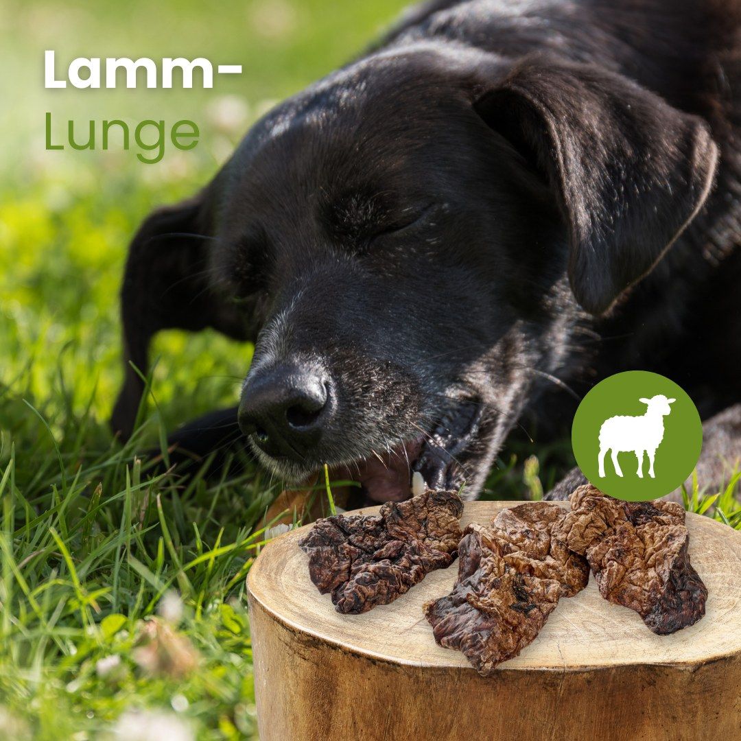 Getrocknete Lamm-Lunge für Hunde, 100% Lamm.