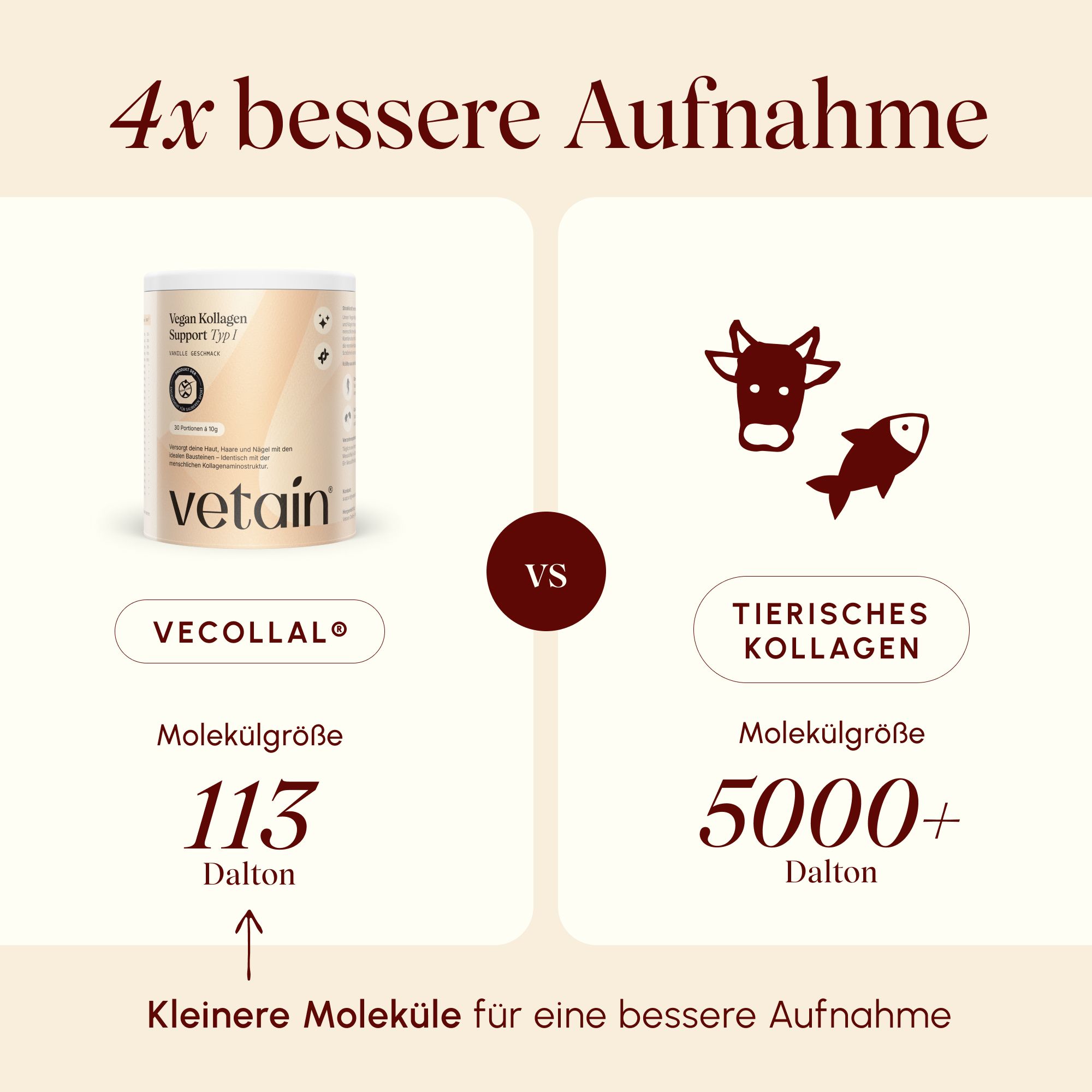 VETAIN Kollagenpulver Vegan - Mit VeCollal®, Vitamin C, Zink & Biotin - Für Haut, Haare & Nägel