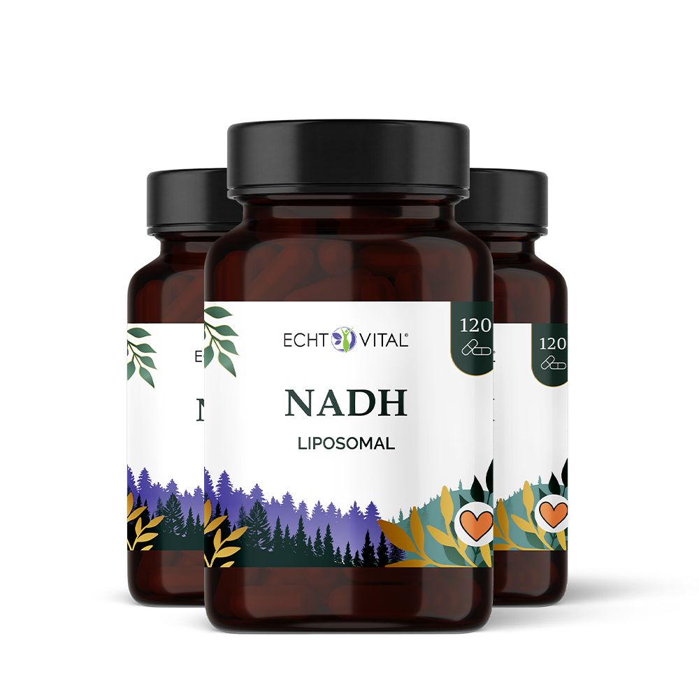 Drei braune Glasflaschen mit schwarzen Deckeln. Auf den Etiketten steht "ECHT VITAL NADH Liposomal". Jede Flasche enthält 120 Kapseln.