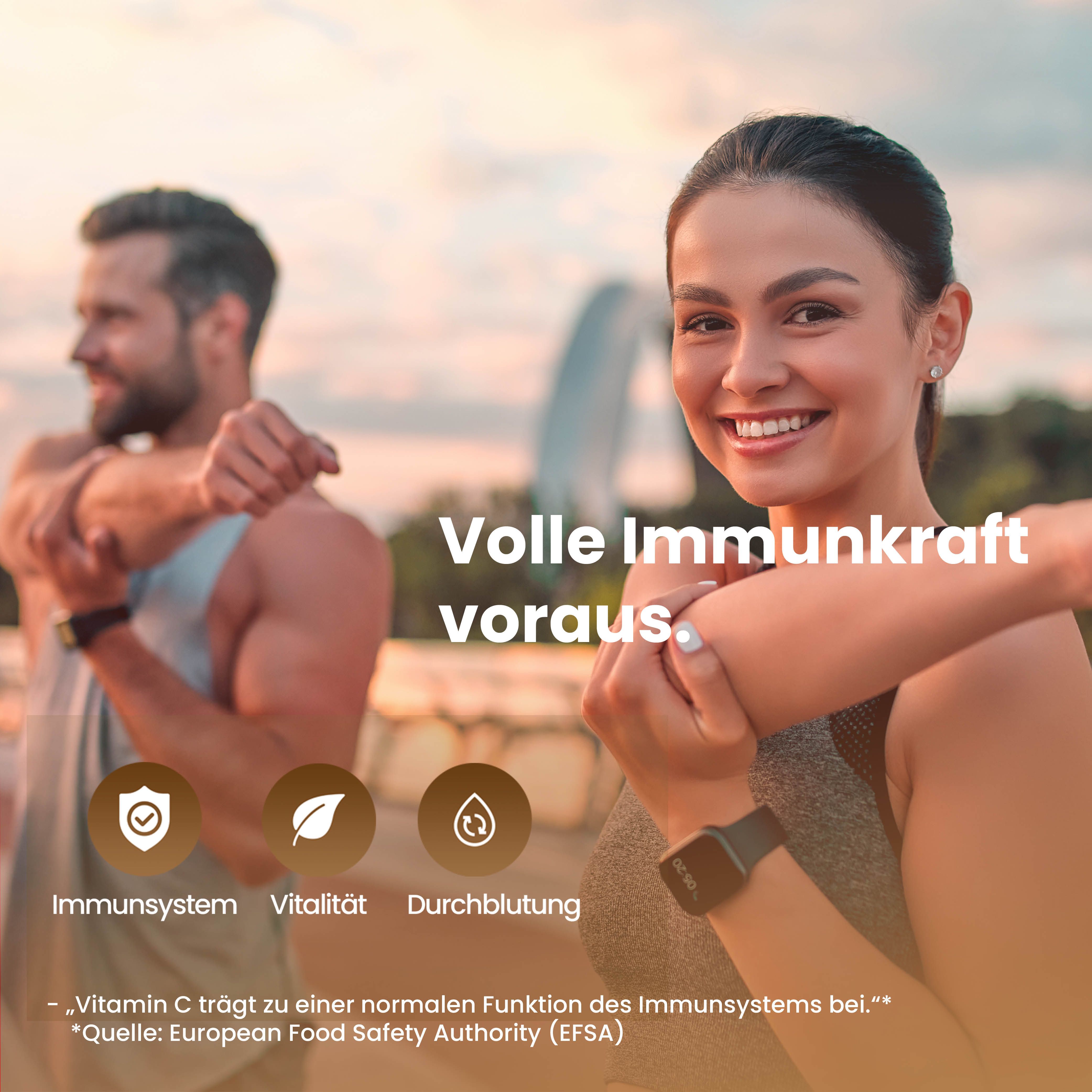 Pinienrindenextrakt 95% OPC + Vitamin C aus Hagebutte