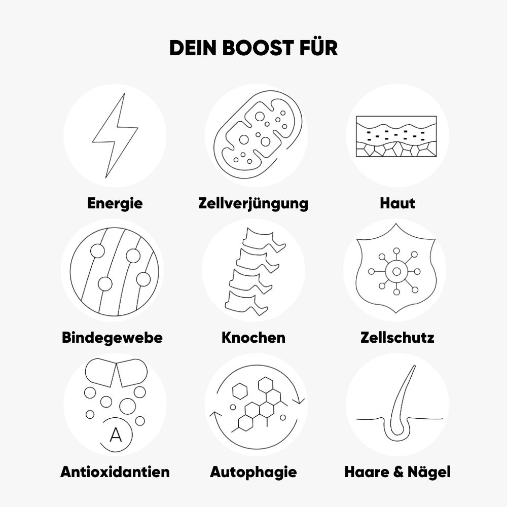 Kreisförmige Icons mit Beschriftungen: Energie, Zellverjüngung, Haut, Bindegewebe, Knochen, Zellschutz, Antioxidantien, Autophagie, Haare & Nägel.