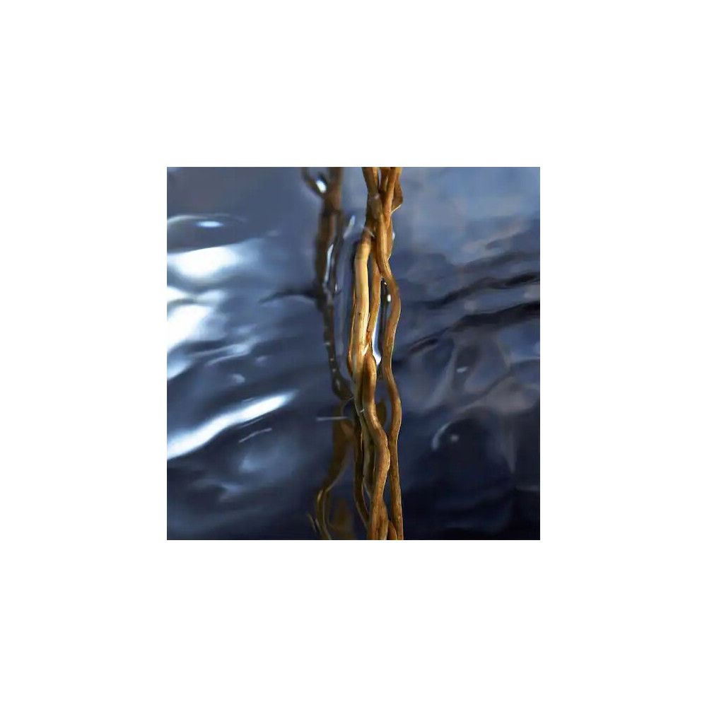 Braune Wurzeln in Wasser. Dunkelblauer Hintergrund.