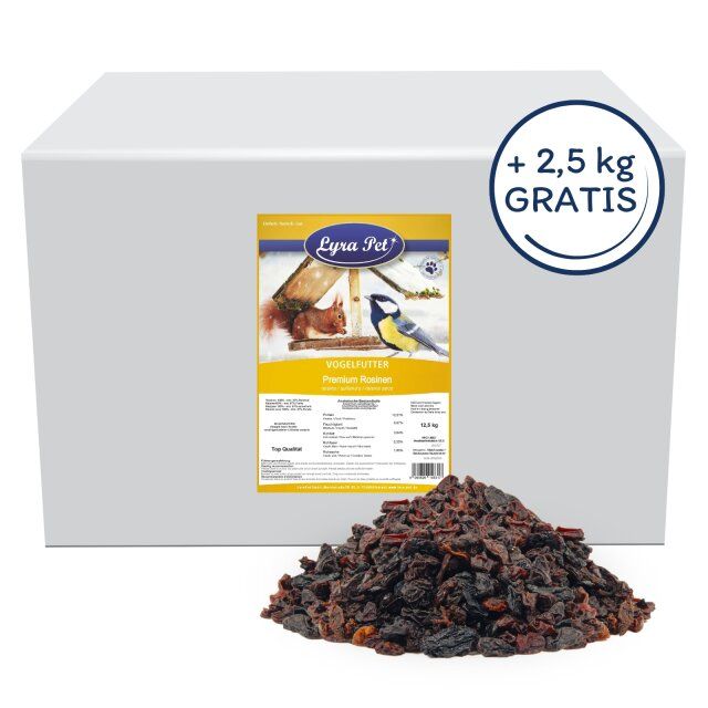 Großer Karton mit Lyra Pet® Vogelfutter. Aufschrift "+2,5 kg GRATIS". Auf der Verpackung: Eichhörnchen, Vogel, Produktname.