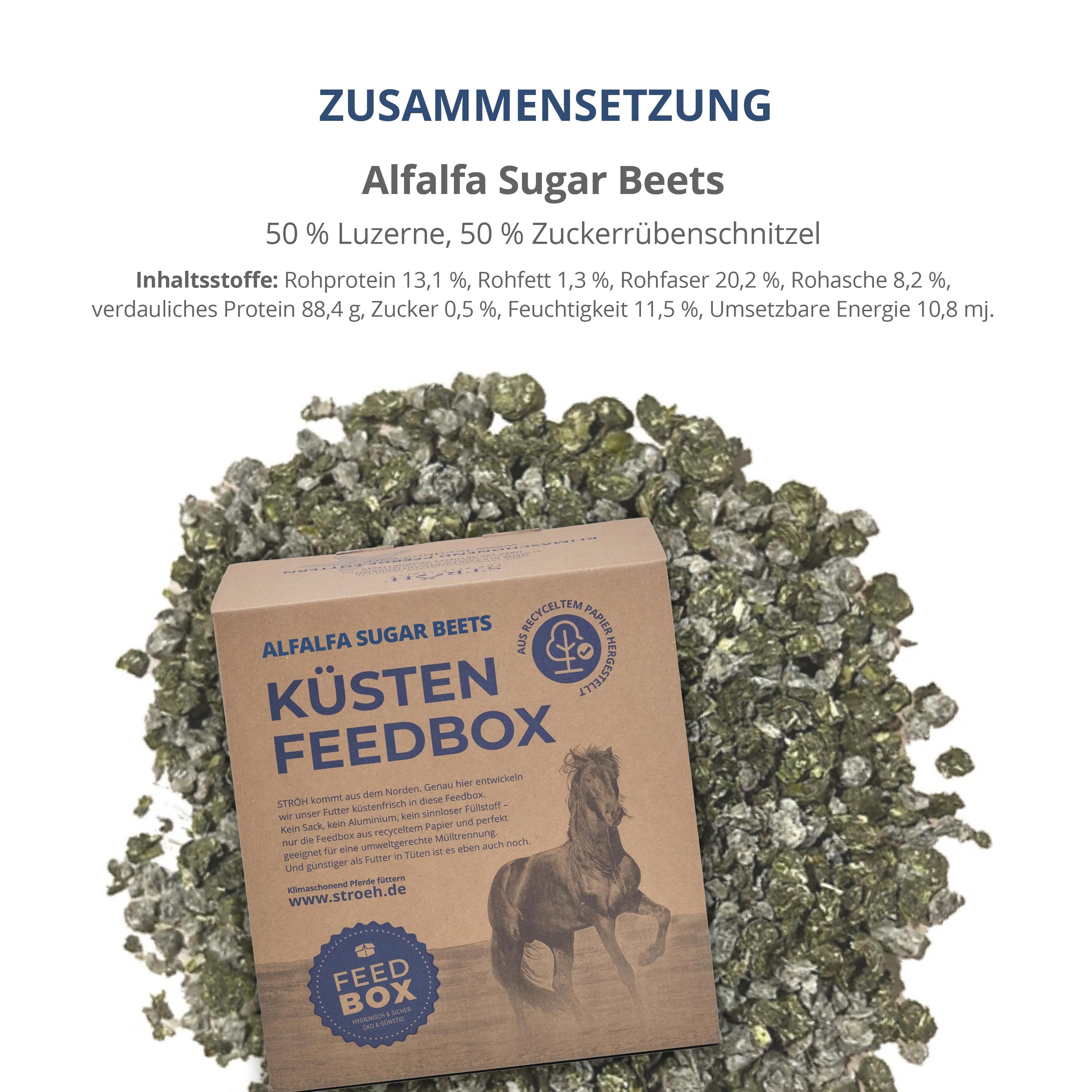 Karton "Küsten Feedbox" mit Alfalfa Sugar Beets. Text: Zusammensetzung, 50% Luzerne, 50% Zuckerrübenschnitzel. Produkt auf grünem Granulat.