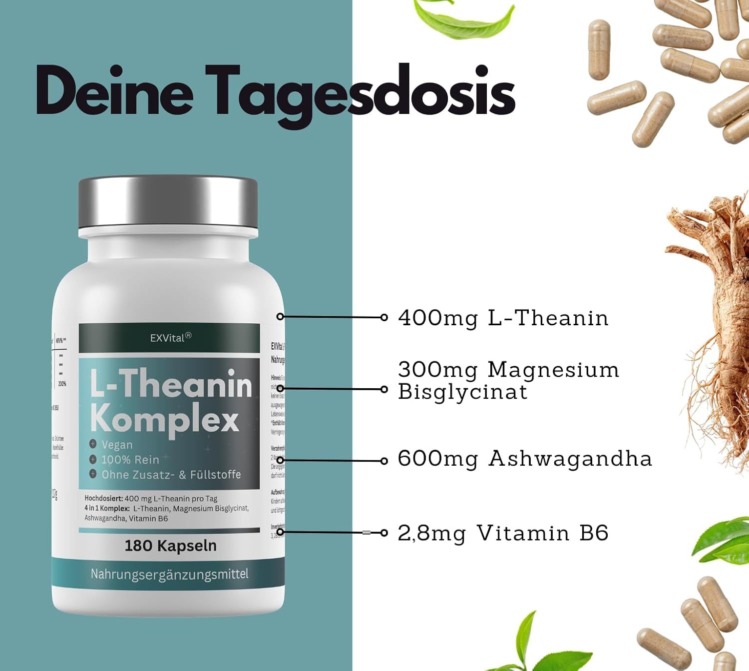 EXVital® L-Theanin Komplex Kapseln mit Magnesium, Ashwagandha & Vitamin B6
