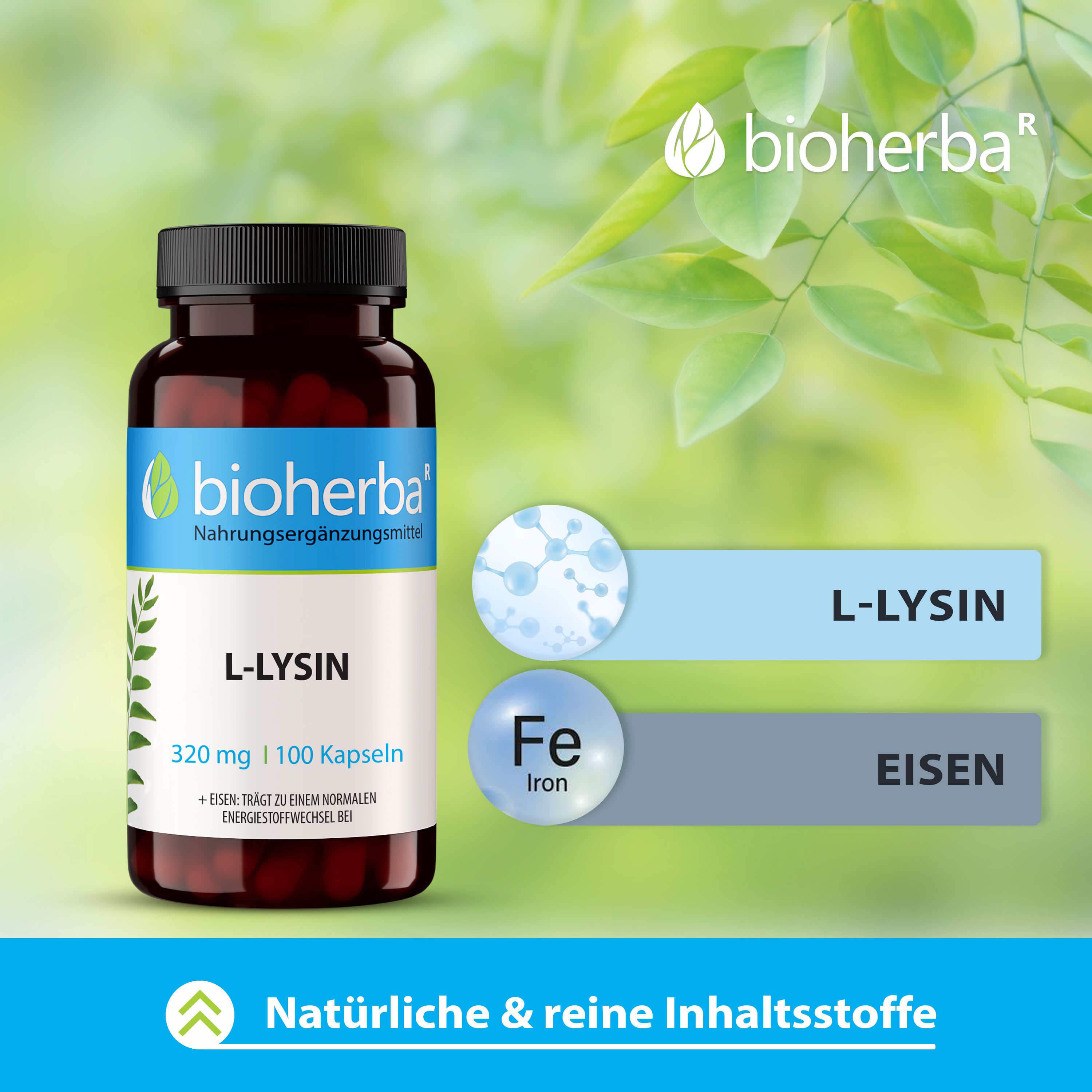 Bioherba L-Lysin Kapseln