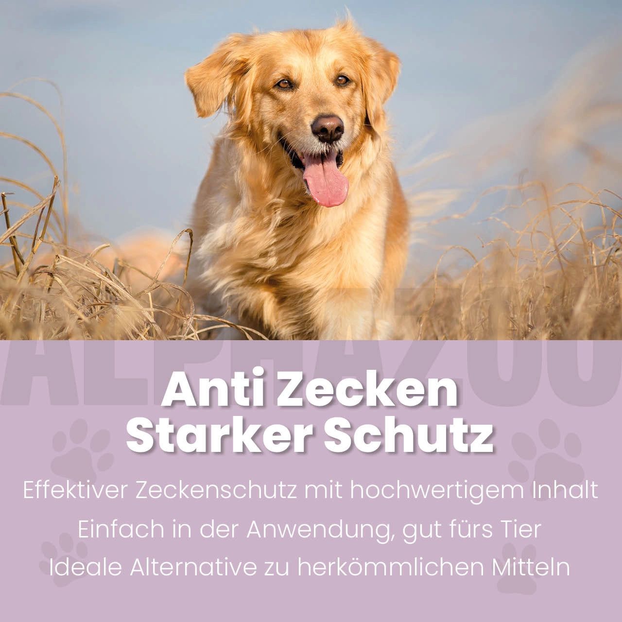 Goldener Retriever-Hund im Feld. Text: Anti Zecken, Starker Schutz. Effektiv, einfach, gut fürs Tier. Pfoten-Illustrationen.