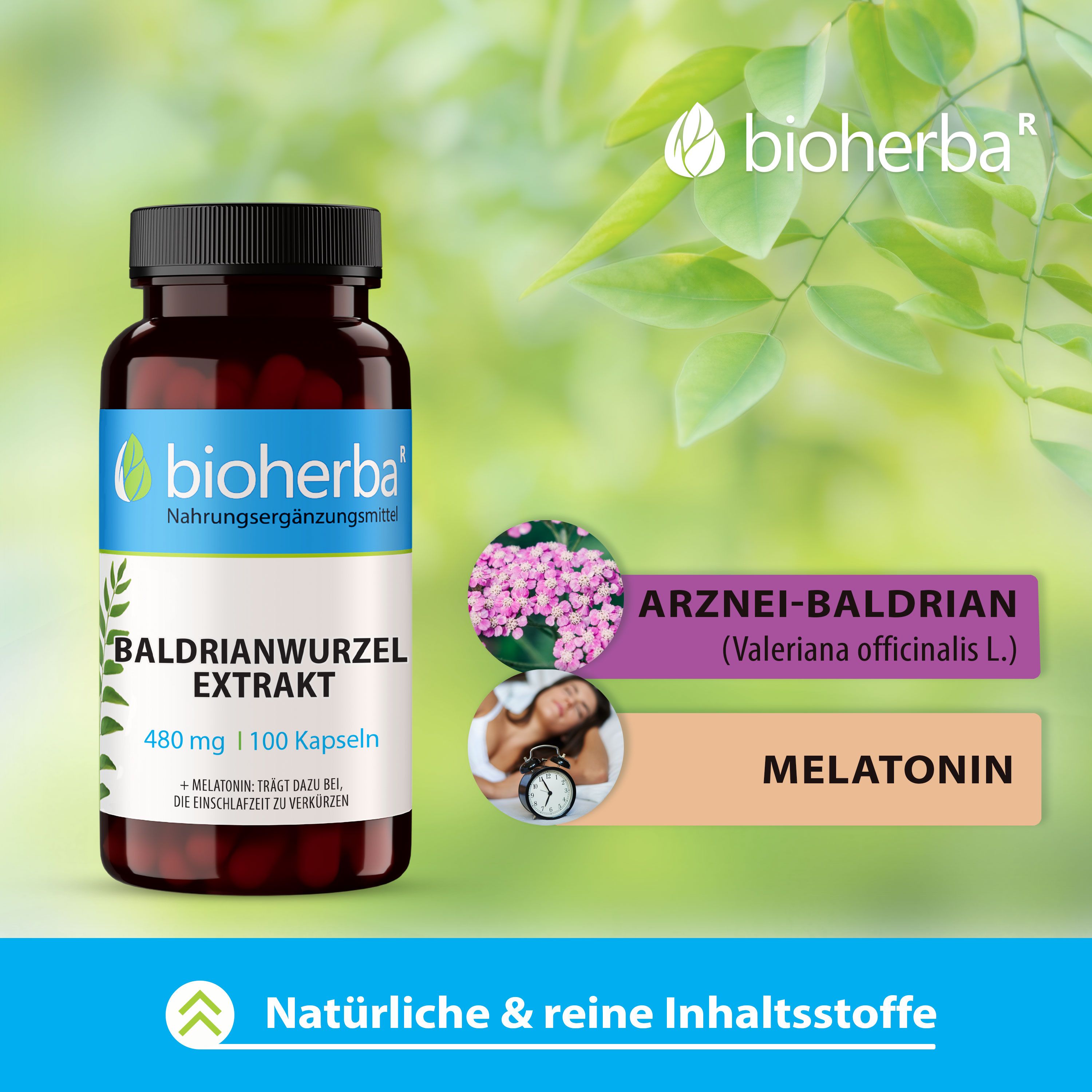 Bioherba Baldrianwurzel Extrakt Kapseln