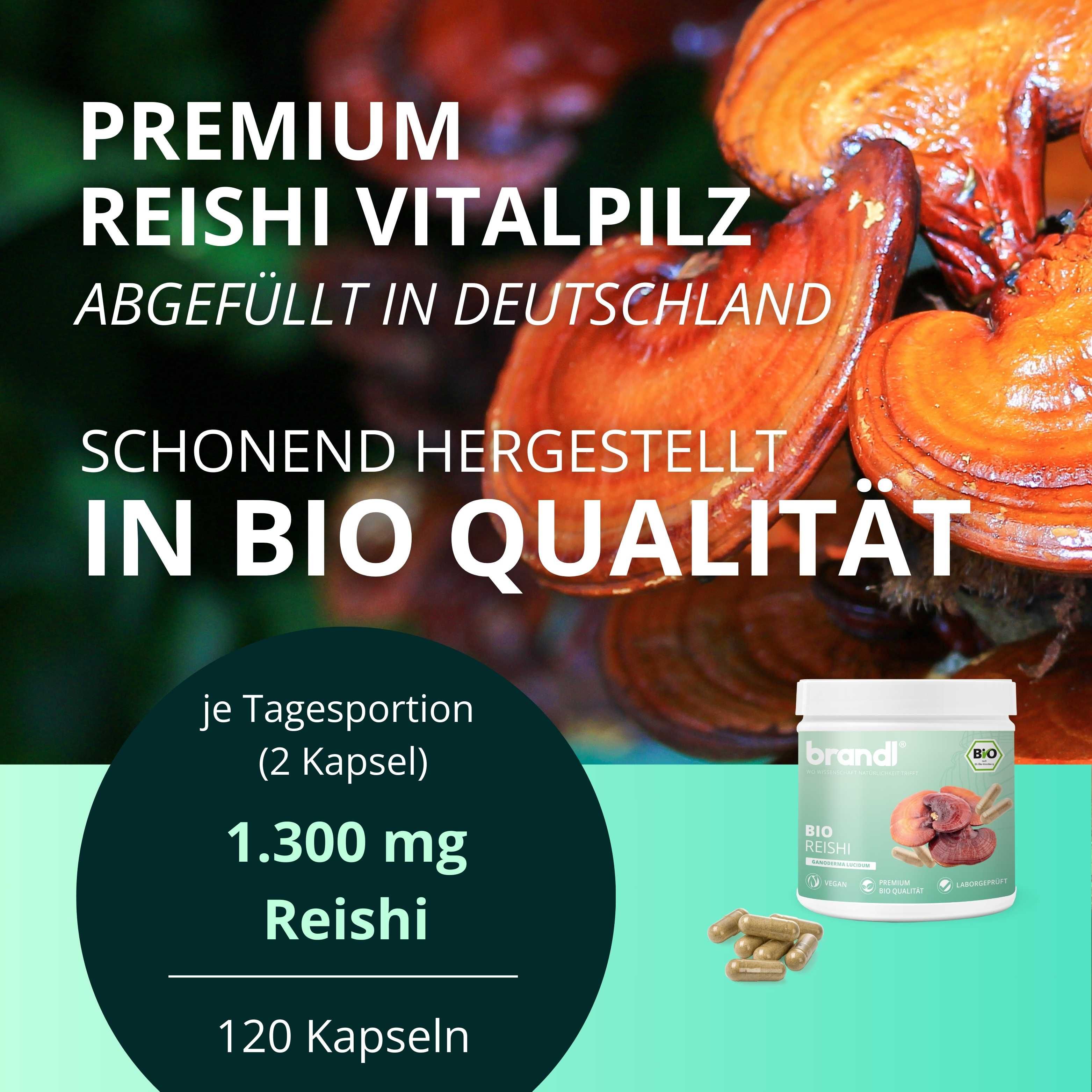 brandl® Bio Reishi Vitalpilz
