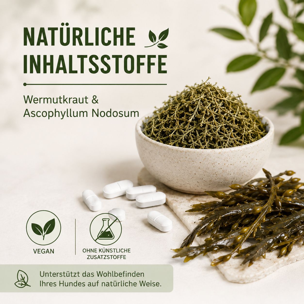 Gelenkix: Natürliche Inhaltsstoffe Wermutkraut & Ascophyllum Nodosum. Vegan.