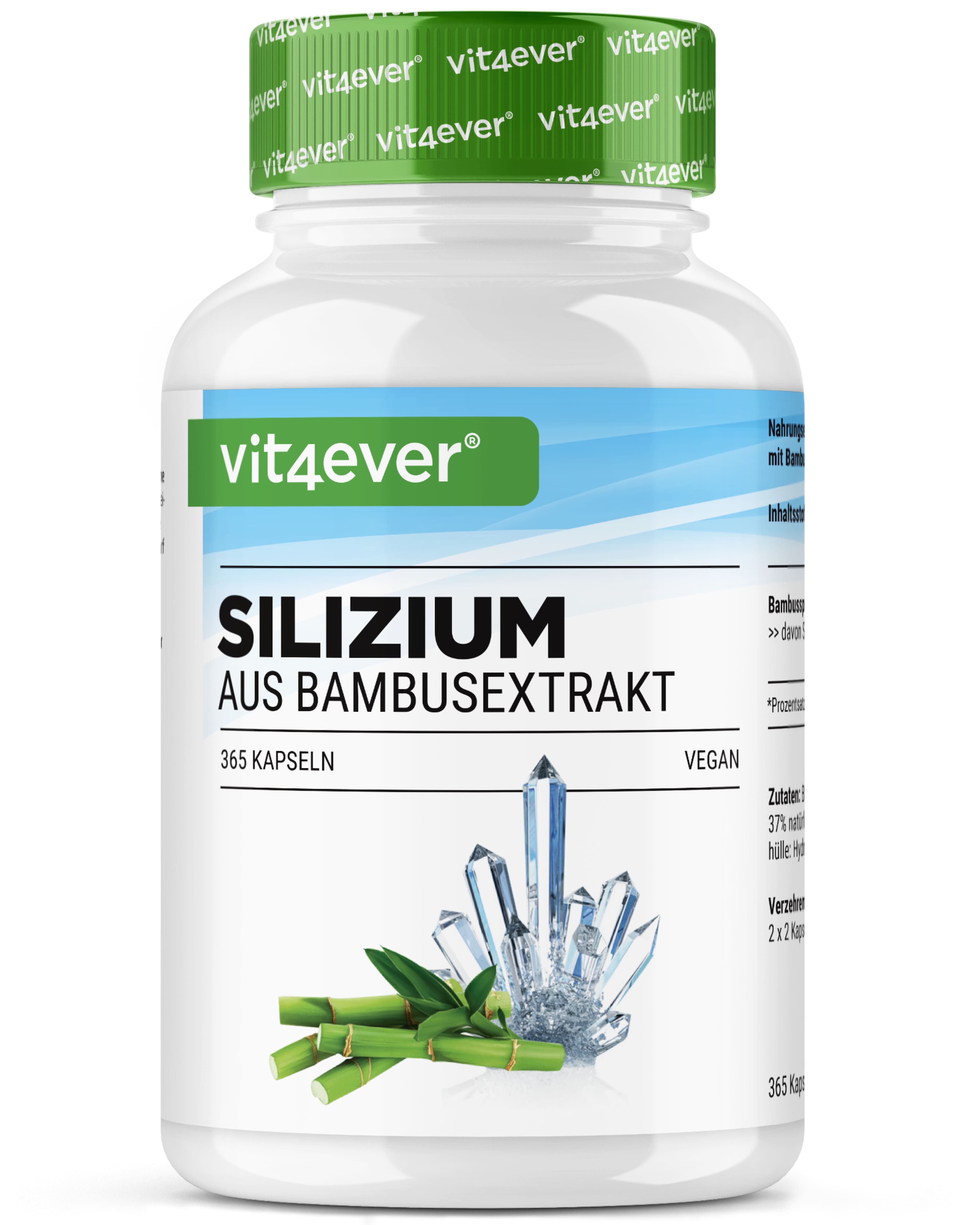 vit4ever Silizium 365 g Kapseln