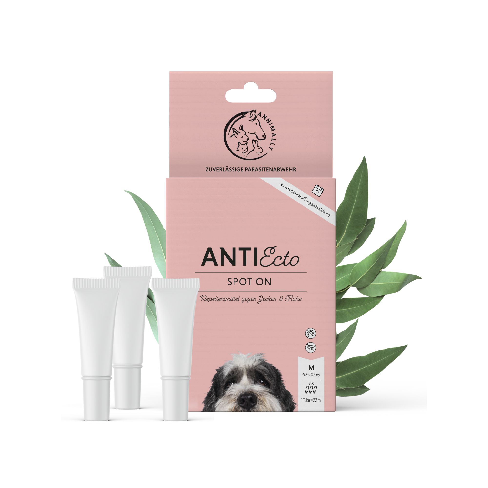 Produktverpackung mit drei Tuben. Produktname: AntiEcto Spot On. Annimally Logo.