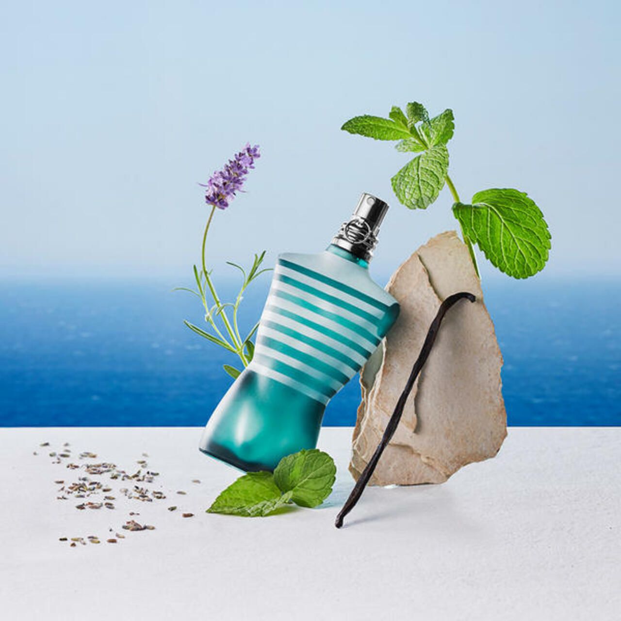 Jean Paul Gaultier, Le Male EdT Nat. Spray