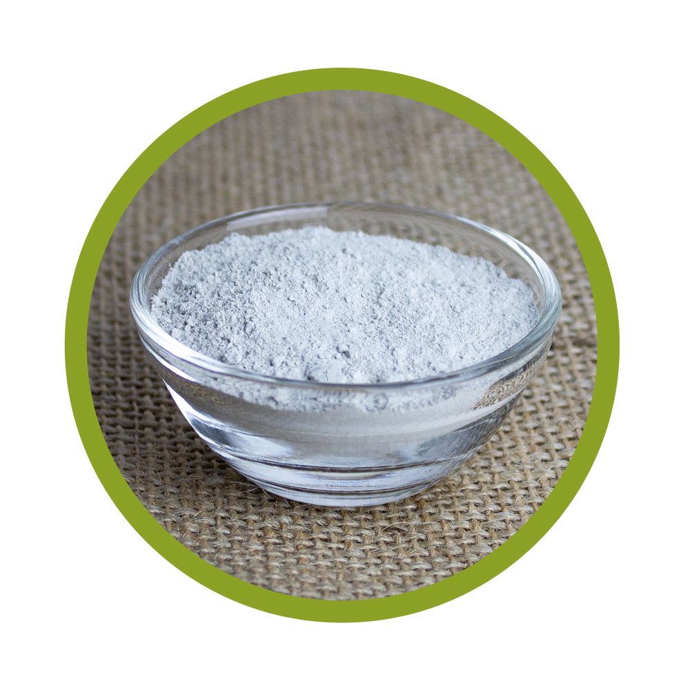 Schale mit Rotalgen Calcium Pulver. Graues Pulver in einer transparenten Glasschale. Grüner Kreis.