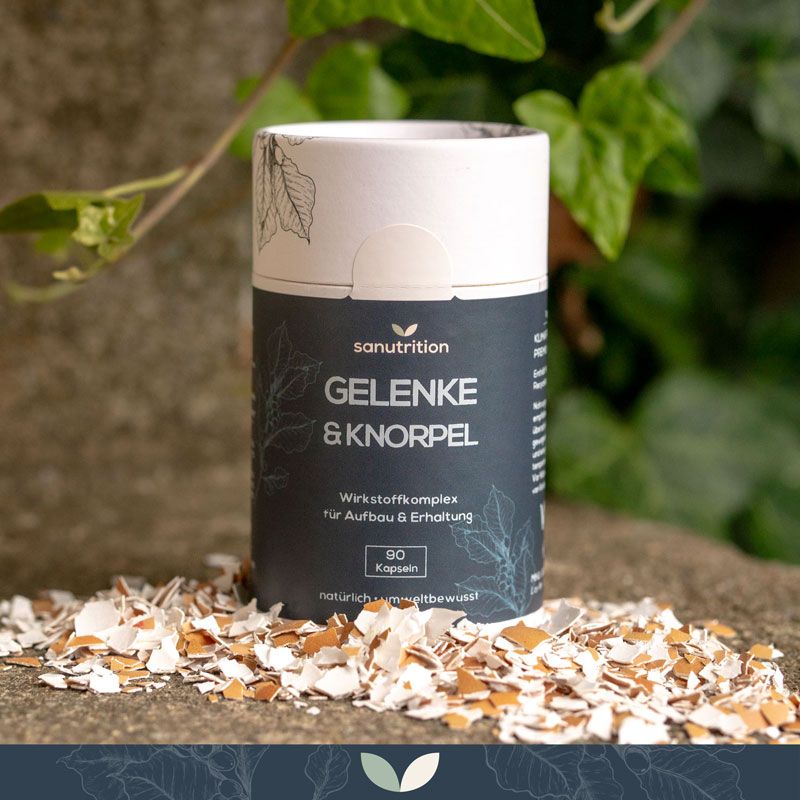 Sanutrition® - Gelenke & Knorpel