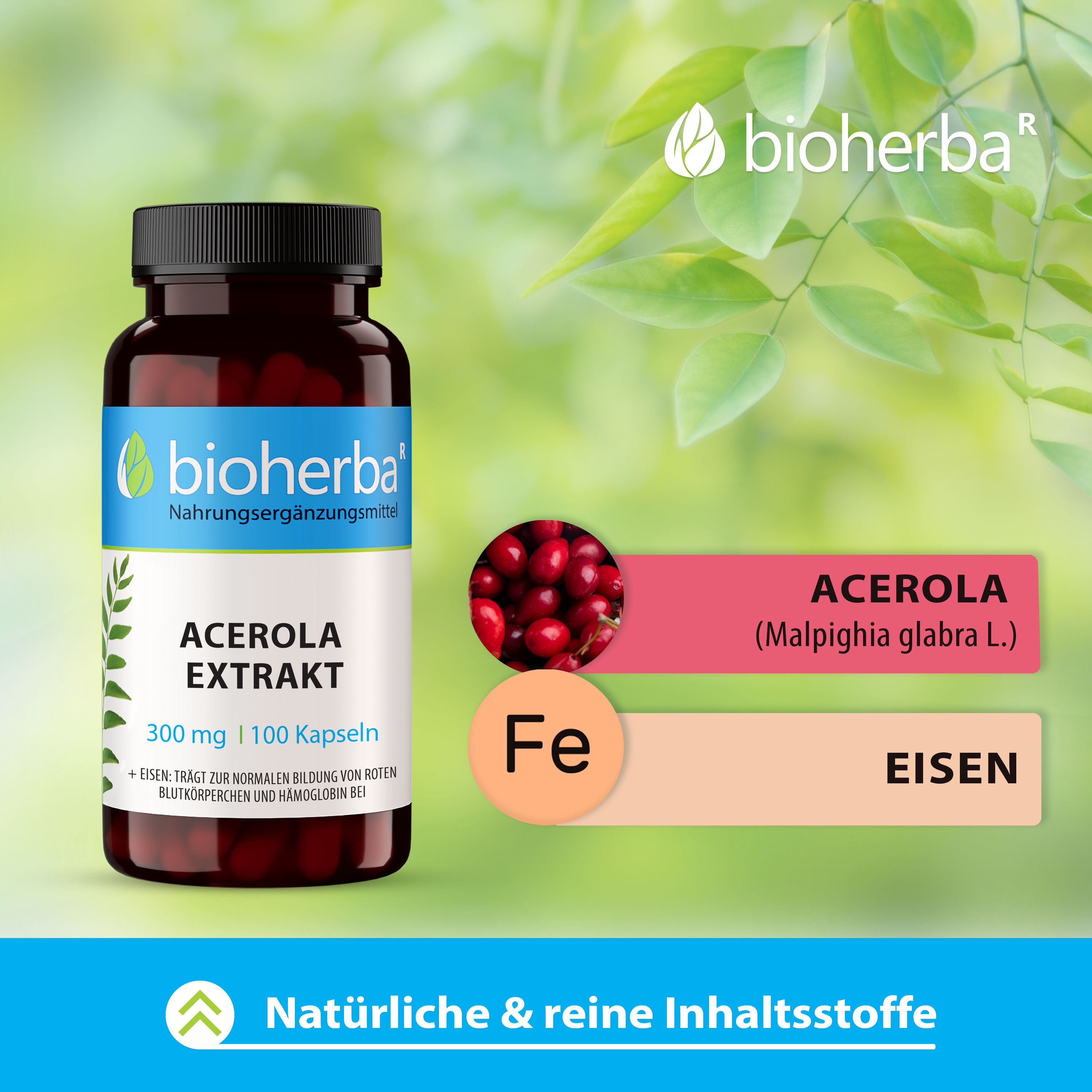 Bioherba Acerola Extrakt Kapseln