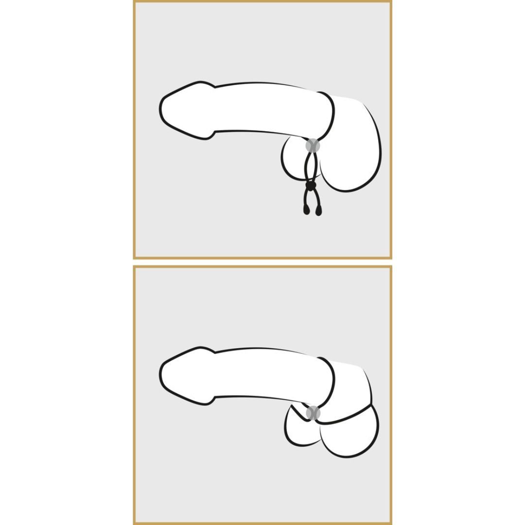 Penis-Hoden-Schlaufe | Für starke Erektion | Bad Kitty