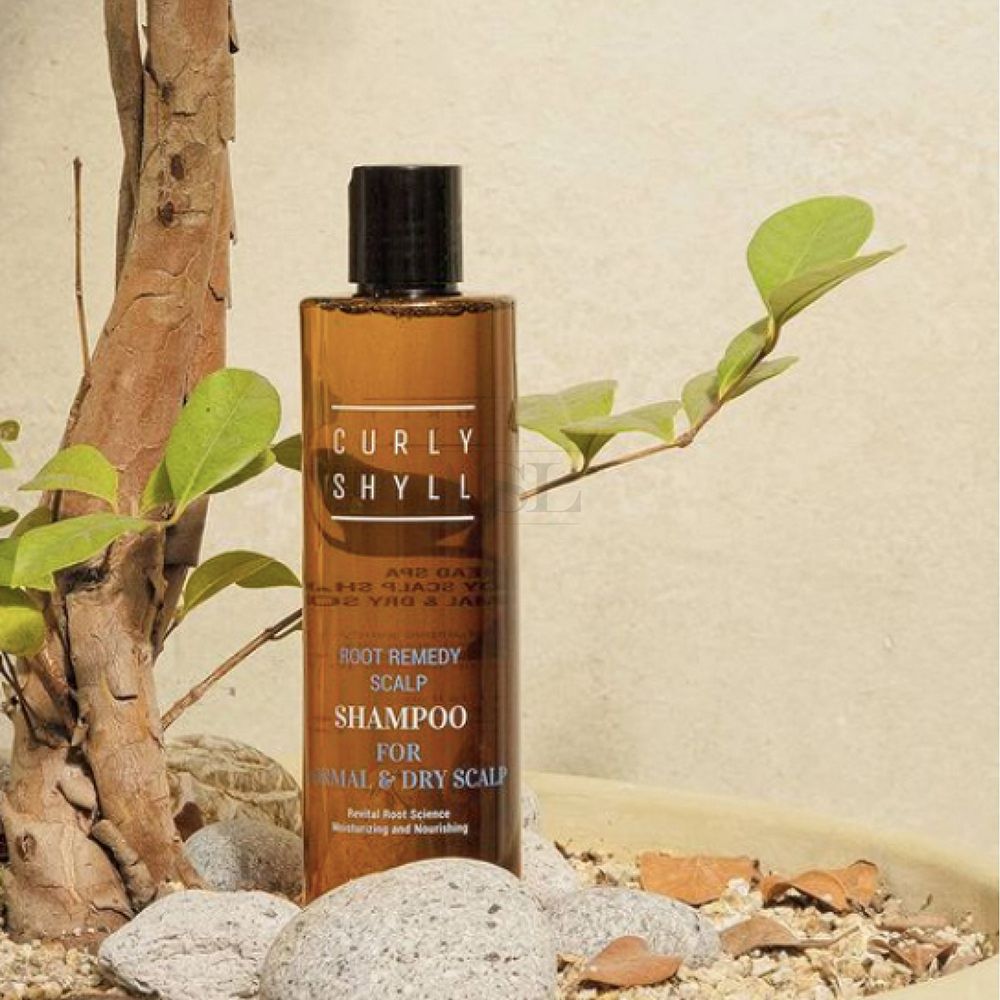 CURLY SHYLL Root Remedy Scalp Normal & Dry Scalp Shampoo