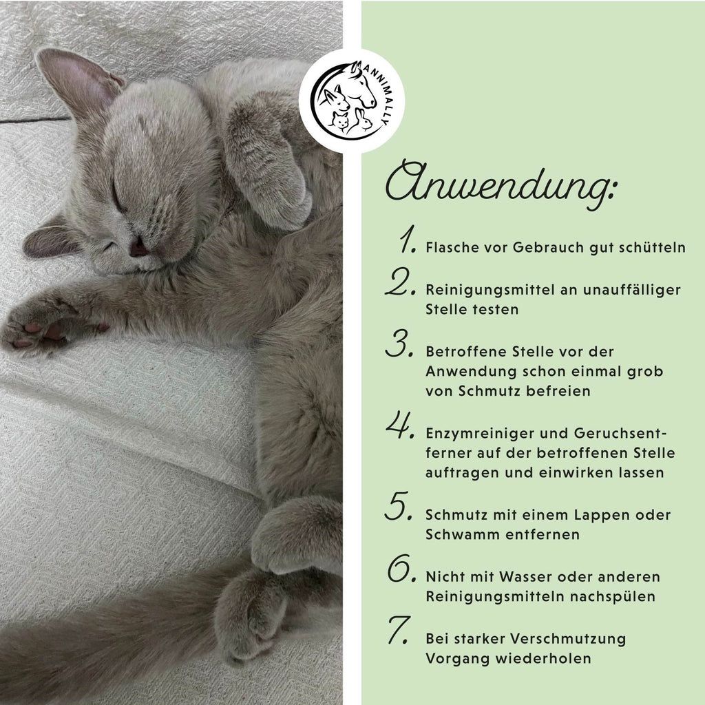 Anleitung mit Logo. Schritte zur Anwendung von "Enzymreiniger & Geruchsentferner". Eine Katze liegt entspannt.