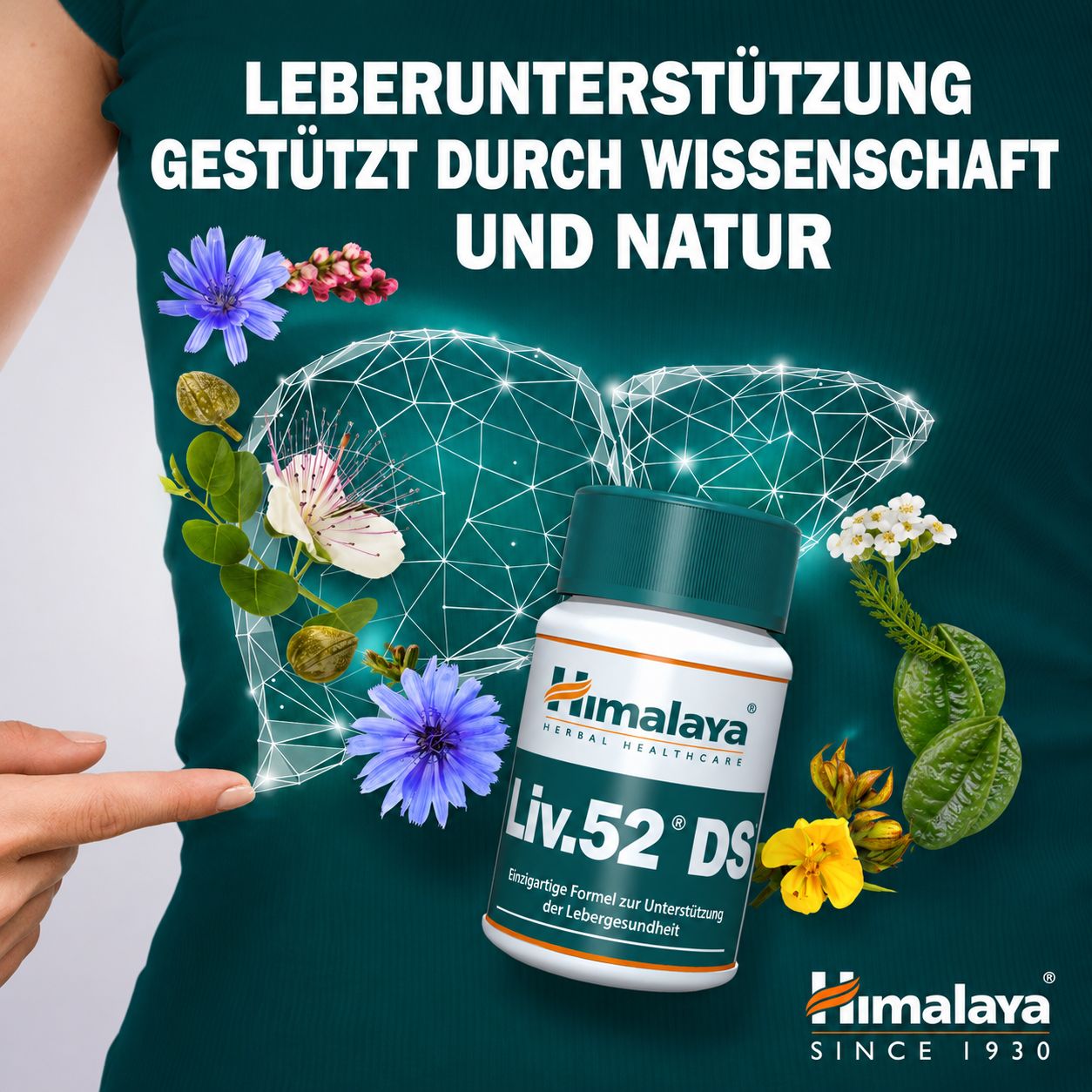 Flasche Himalaya Liv.52 DS Tabletten mit stilisiertem Leber-Symbol und Kräutern.
