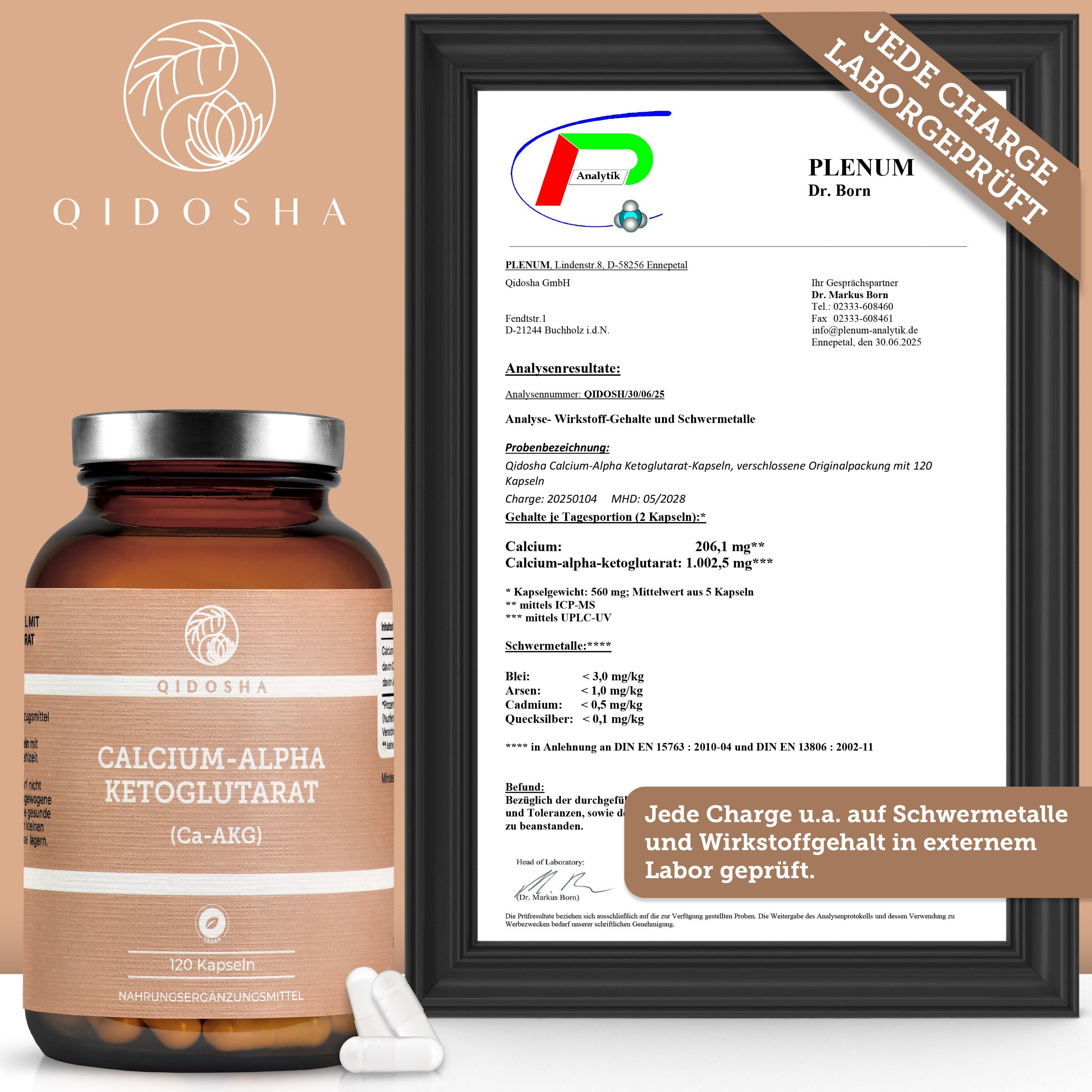 QIDOSHA Calcium-Alpha-Ketoglutarat (Ca-AKG)