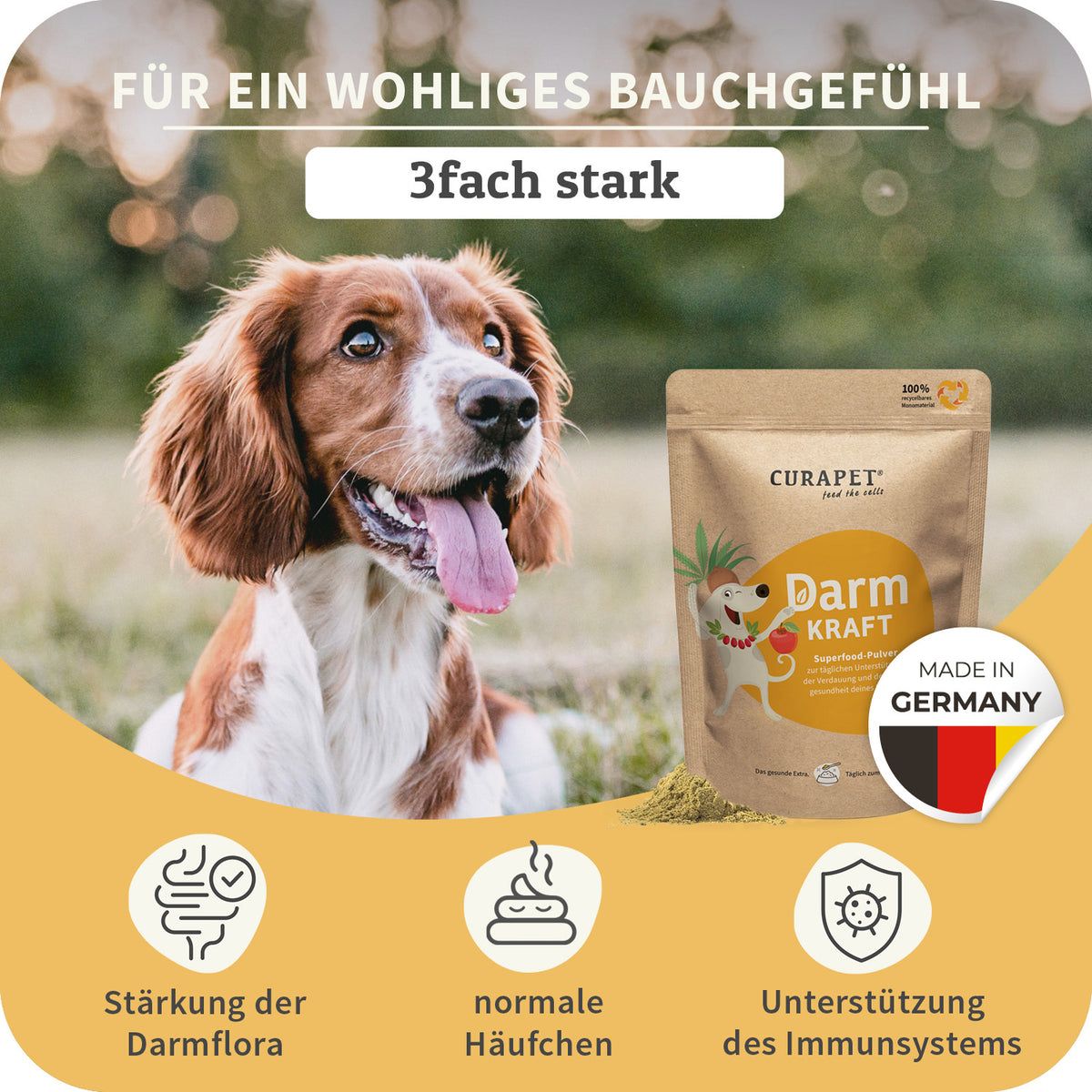 Hund neben CURAPET Darm Kraft Beutel. Text: Für ein wohliges Bauchgefühl, 3fach stark. Icons: Darmflora, Kot, Immunsystem.