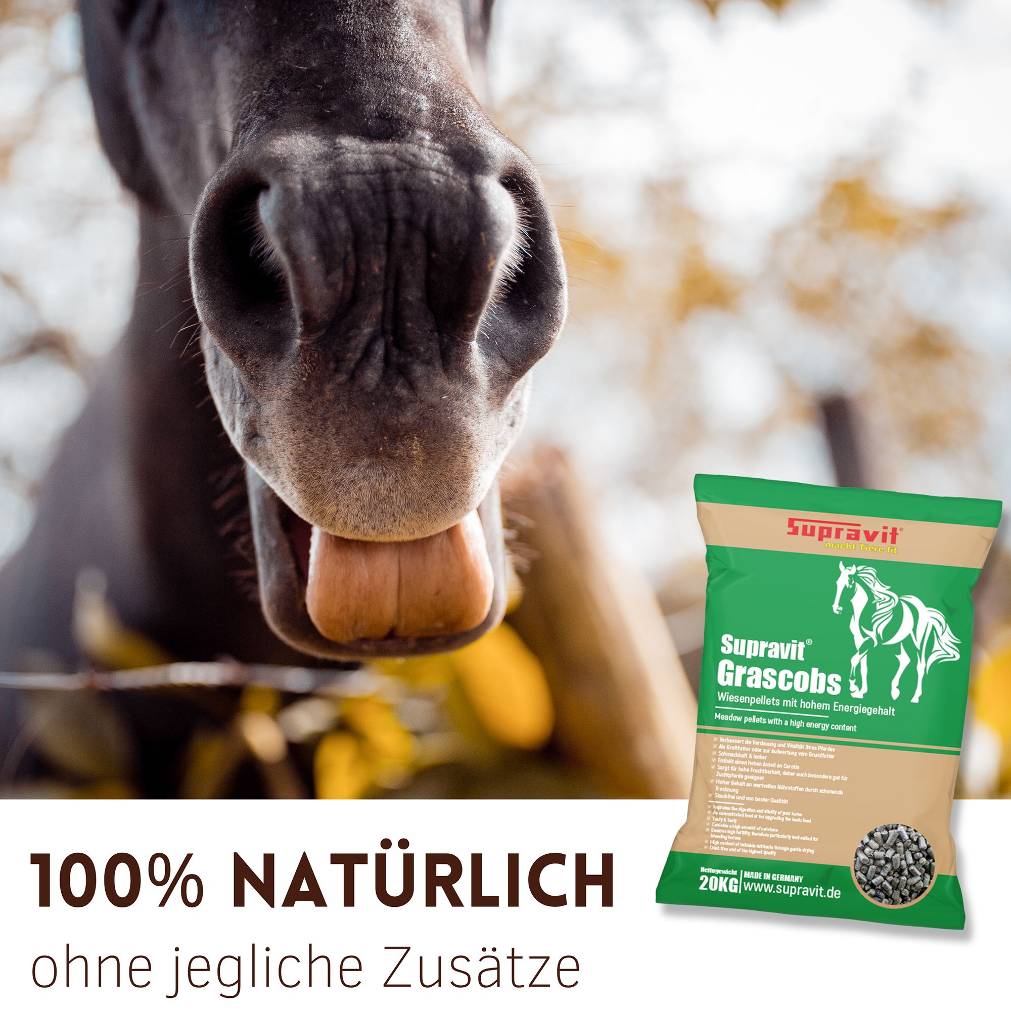 Nahaufnahme eines Pferdekopfes. Rechts: Supravit Grascobs-Beutel. Text: 100% natürlich, ohne jegliche Zusätze.
