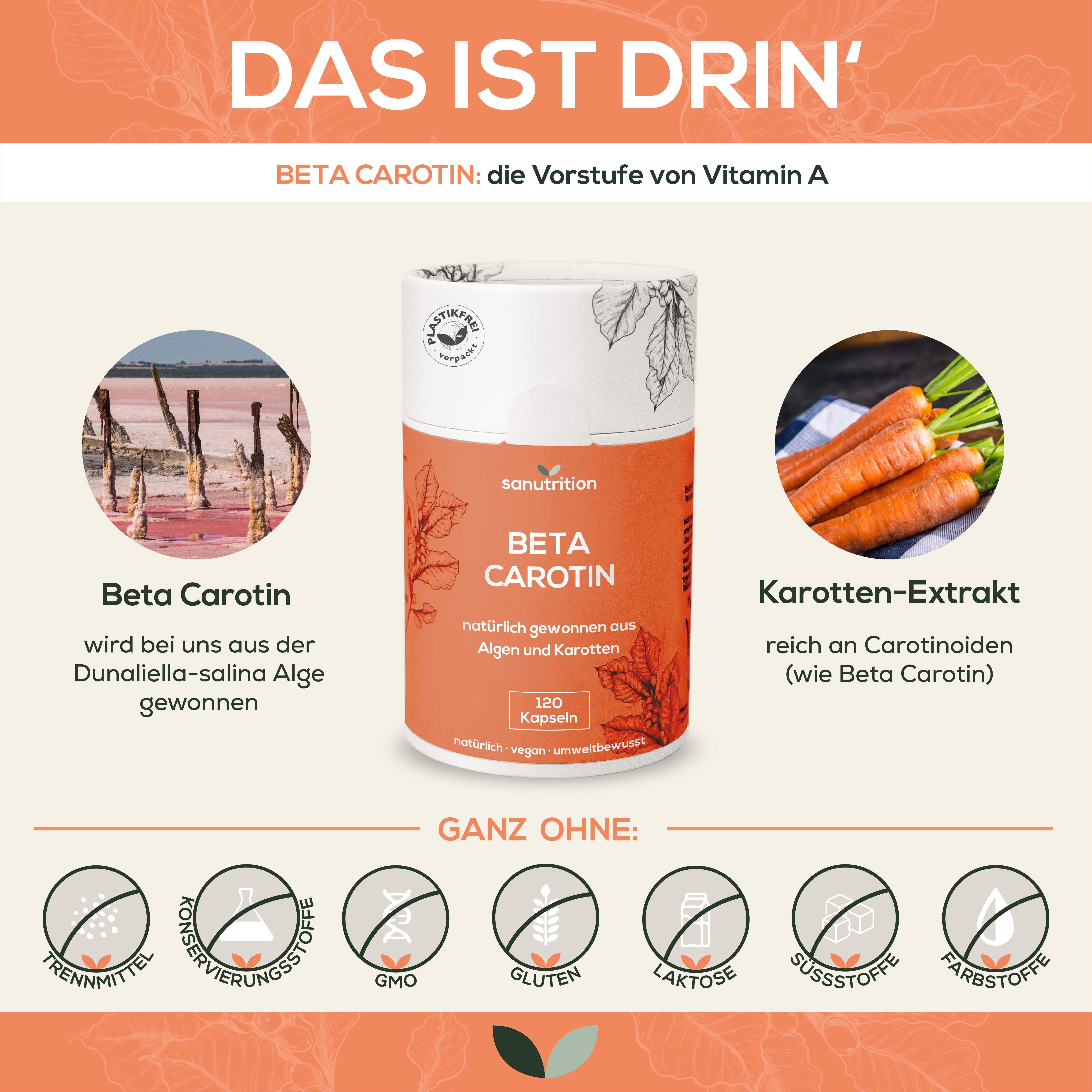 Infografik: Sanutrition Beta Carotin Dose, Karotten, Inhaltsstoffe. Text: Beta Carotin, Karotten-Extrakt, ohne Zusatzstoffe.