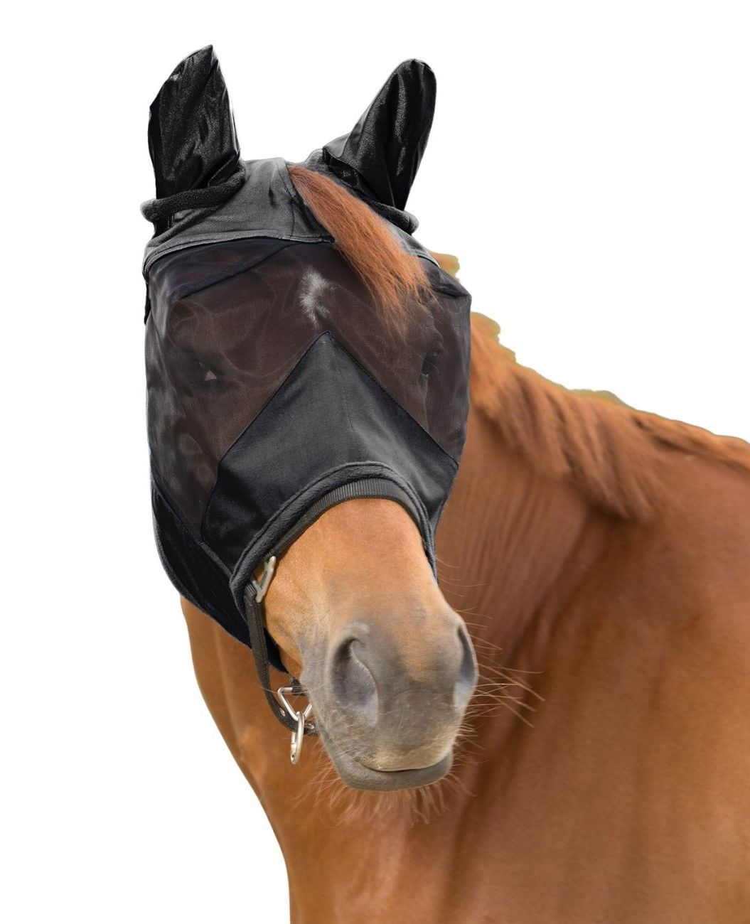 Schwarze Fliegenmaske am Pferd. Netzmaterial, Ohrenschutz, Nasenriemen. Detailansicht, weißer Hintergrund.