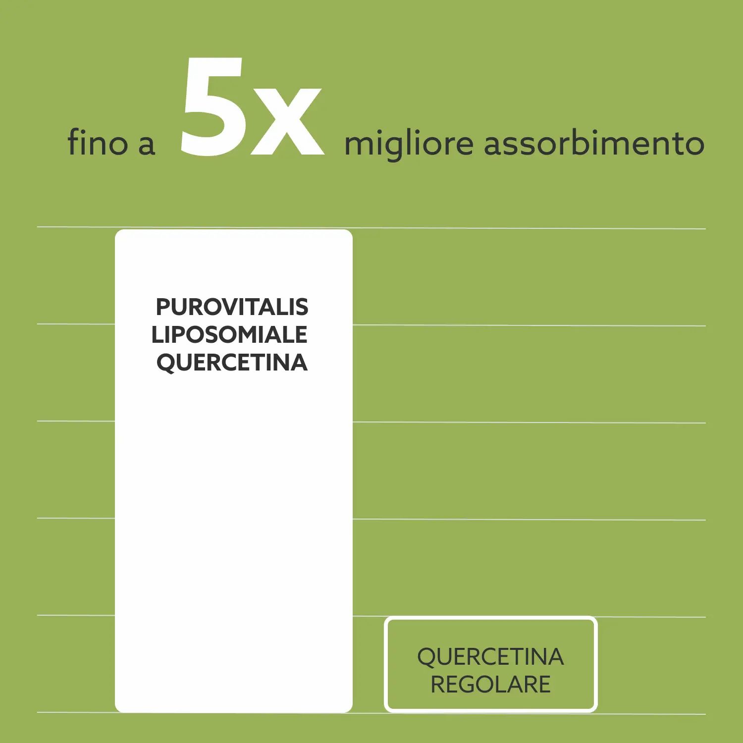 Purovitalis Liposomales Quercetin mit Vitamin C, Zink & Bromelain – 150 mg pro Kapsel