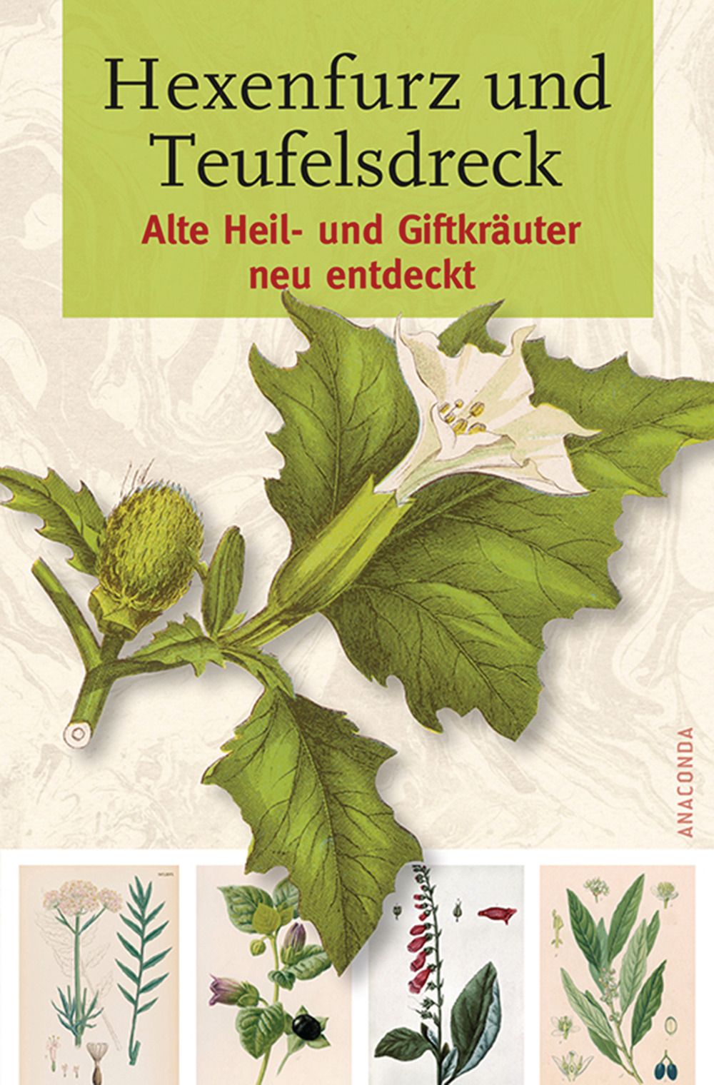 Buchcover mit Titel "Hexenfurz und Teufelsdreck". Illustrationen von Pflanzen, grüner Hintergrund.