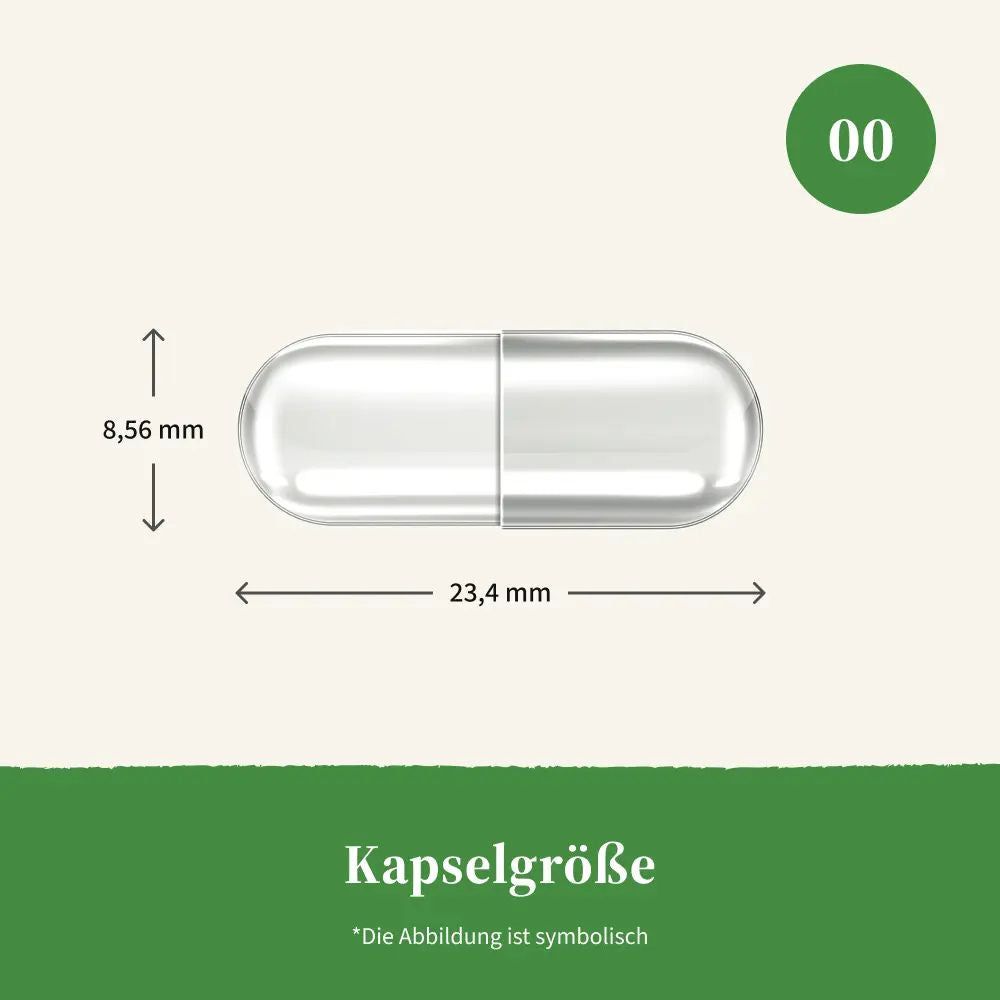 Kapsel, transparent, mit Maßangaben: 23,4 mm lang, 8,56 mm Durchmesser. Text: Kapselgröße. Abbildung ist symbolisch.